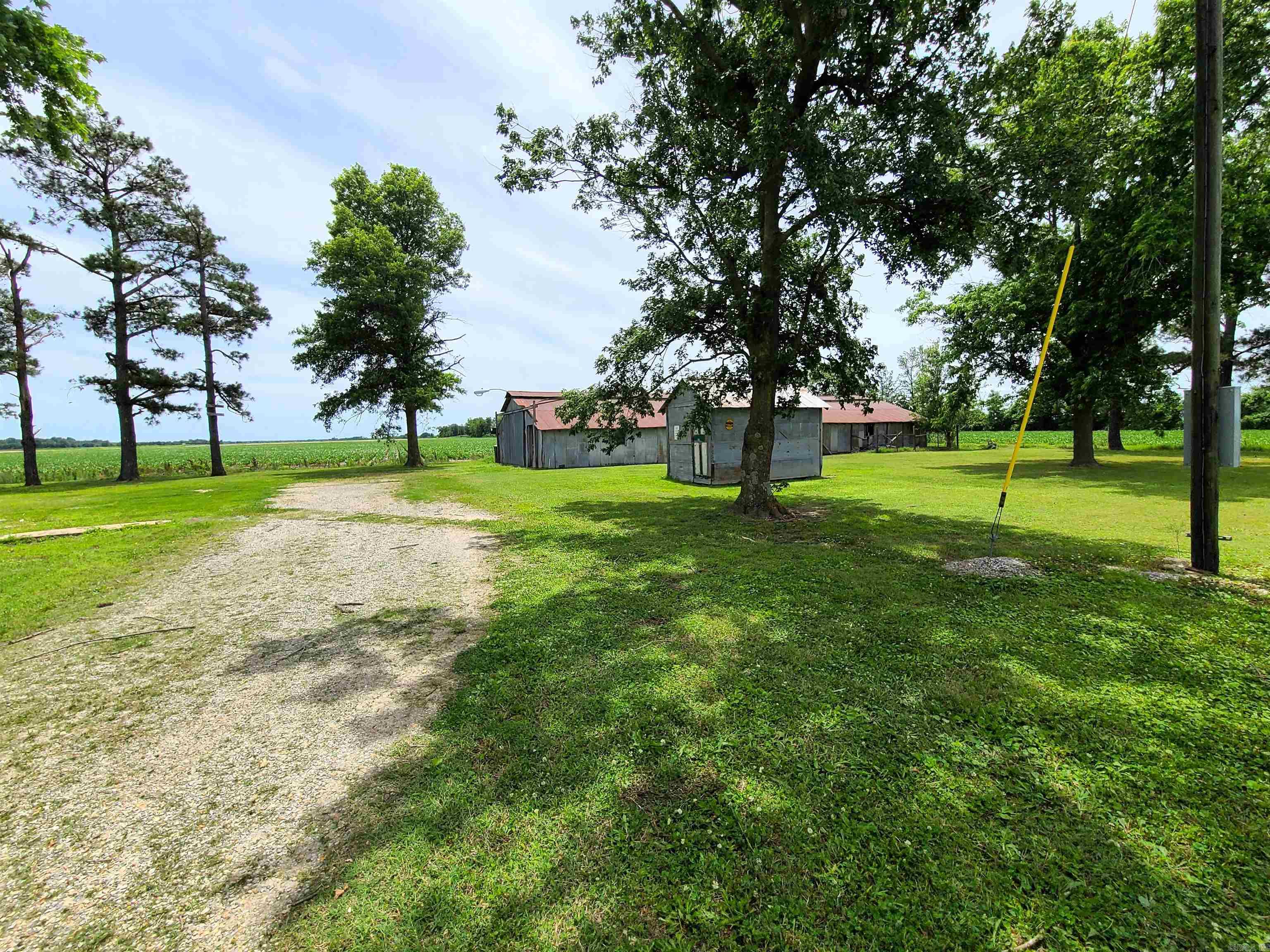 430 CR 554  Piggott, AR