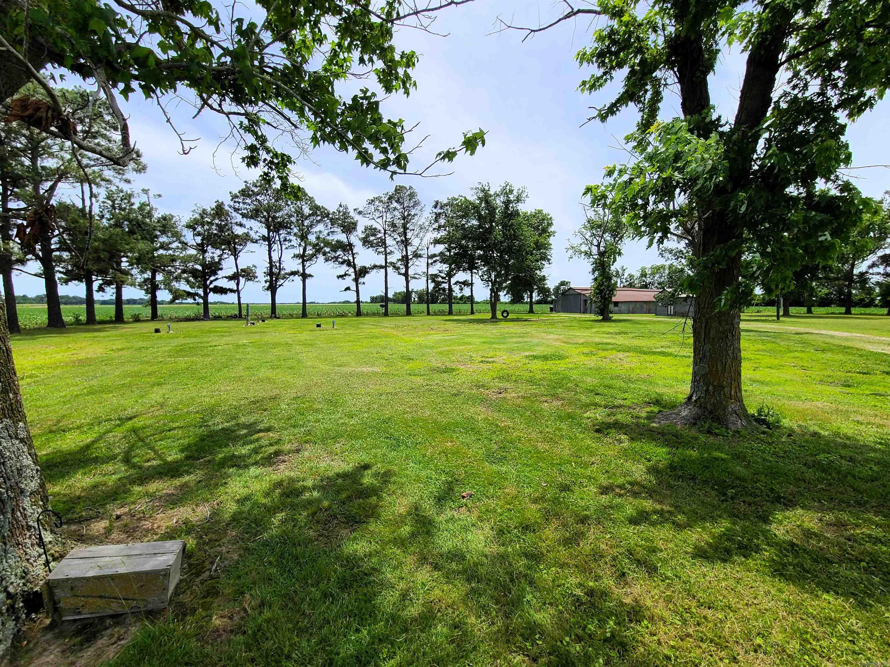 430 CR 554  Piggott, AR