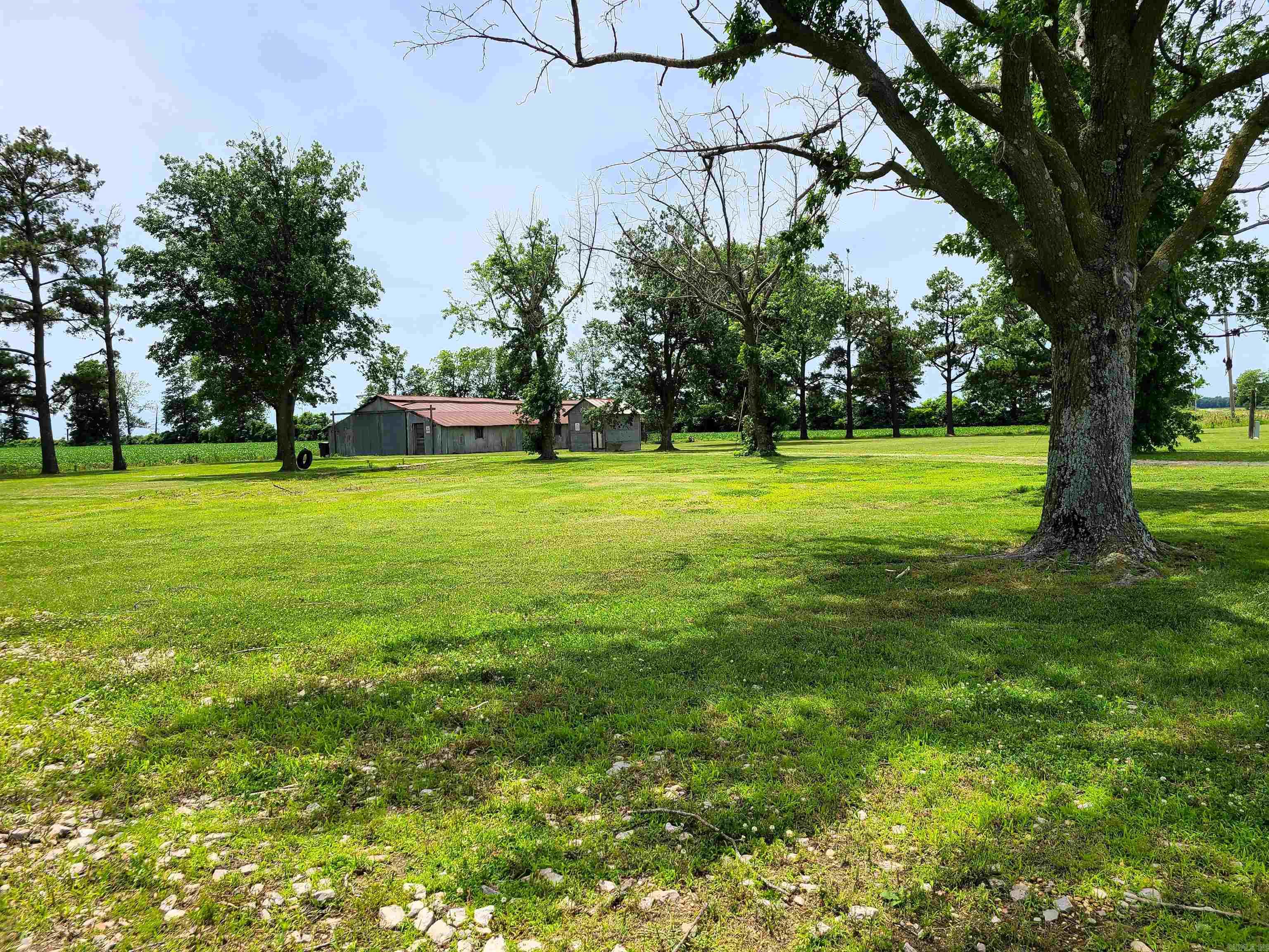 430 CR 554  Piggott, AR