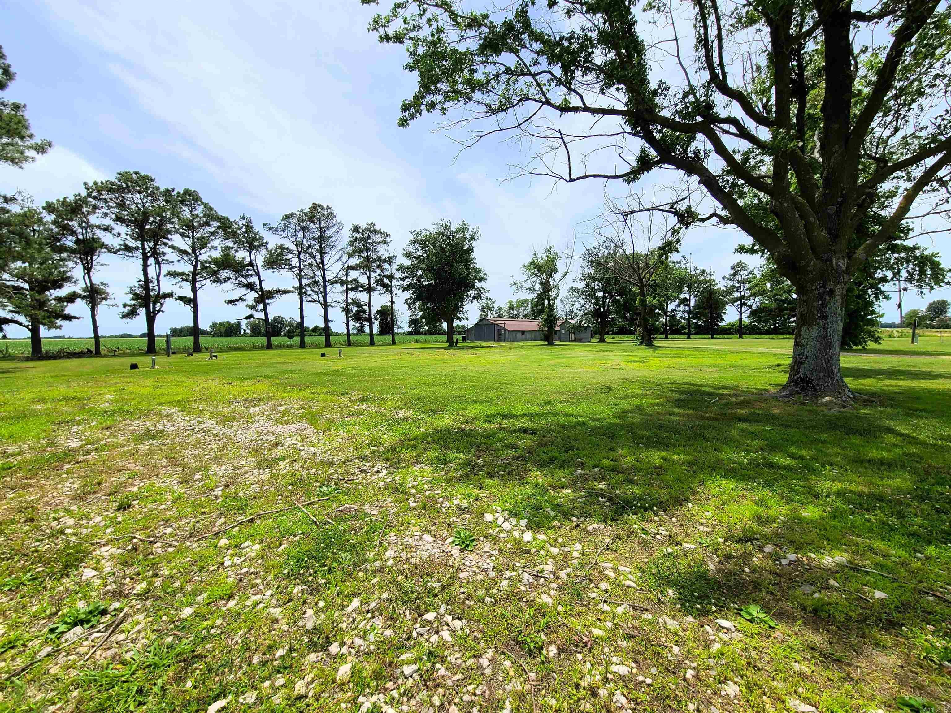 430 CR 554  Piggott, AR