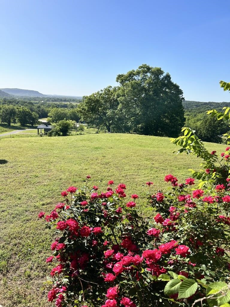 17416 Hwy 9 S  Mountain View, AR