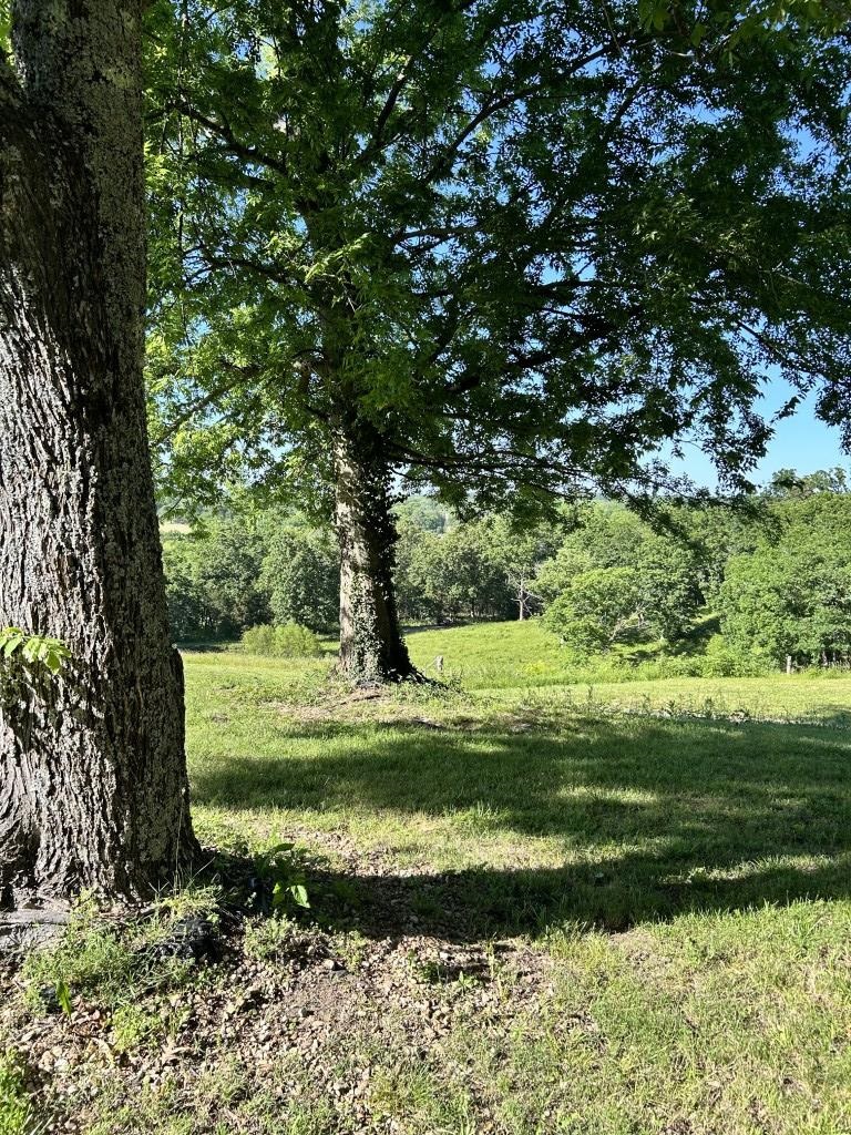 17416 Hwy 9 S  Mountain View, AR