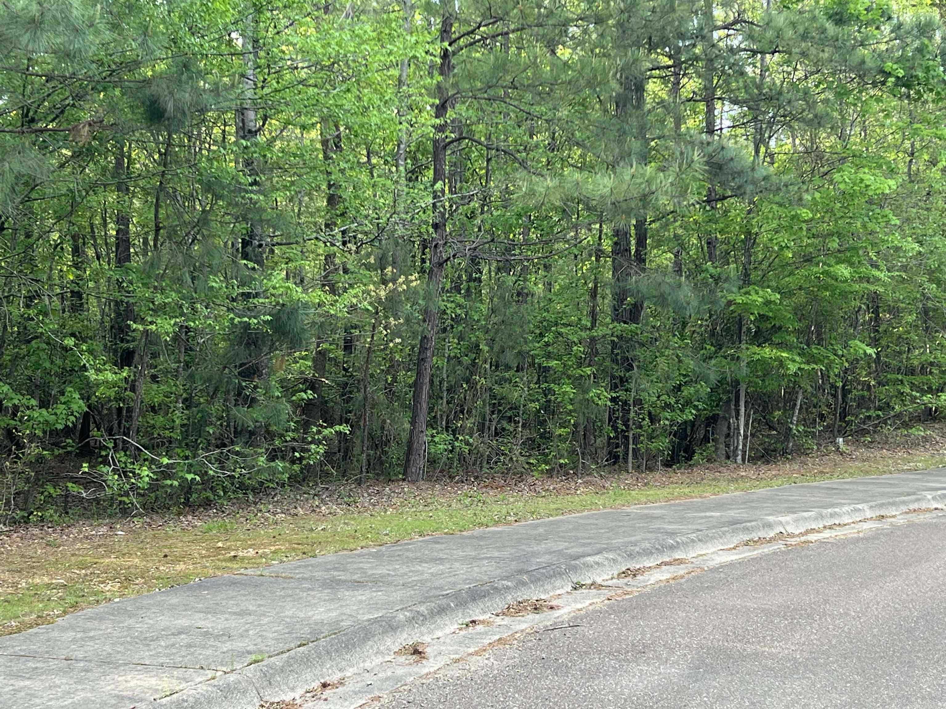 153 Thompson Rd  Arkadelphia, AR