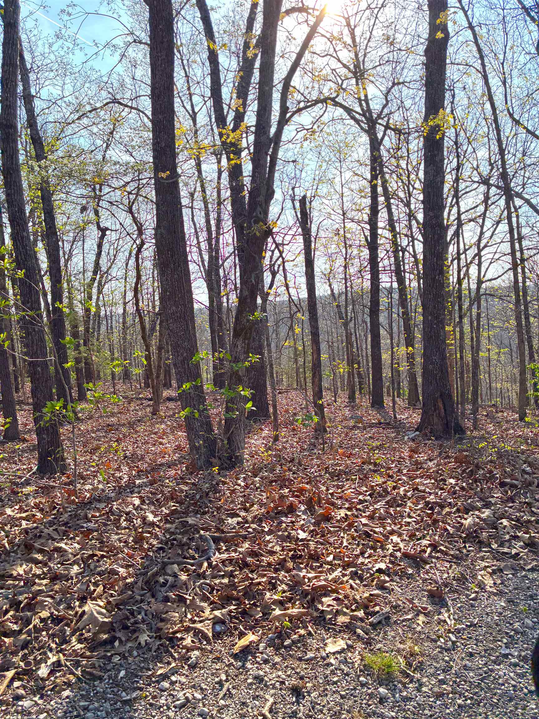  Wewaka  Cherokee Village, AR