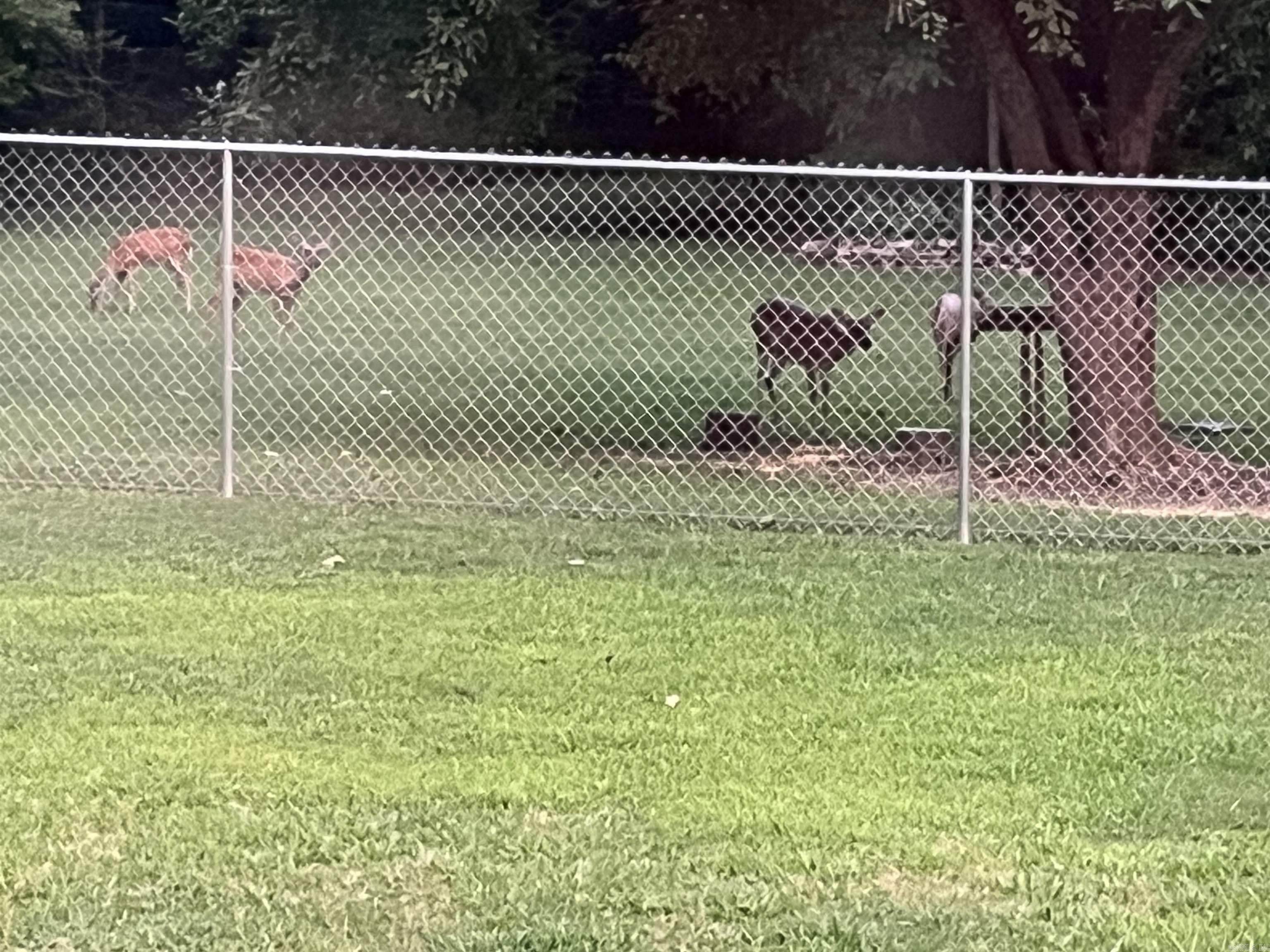 488 Hickory  Cabot, AR