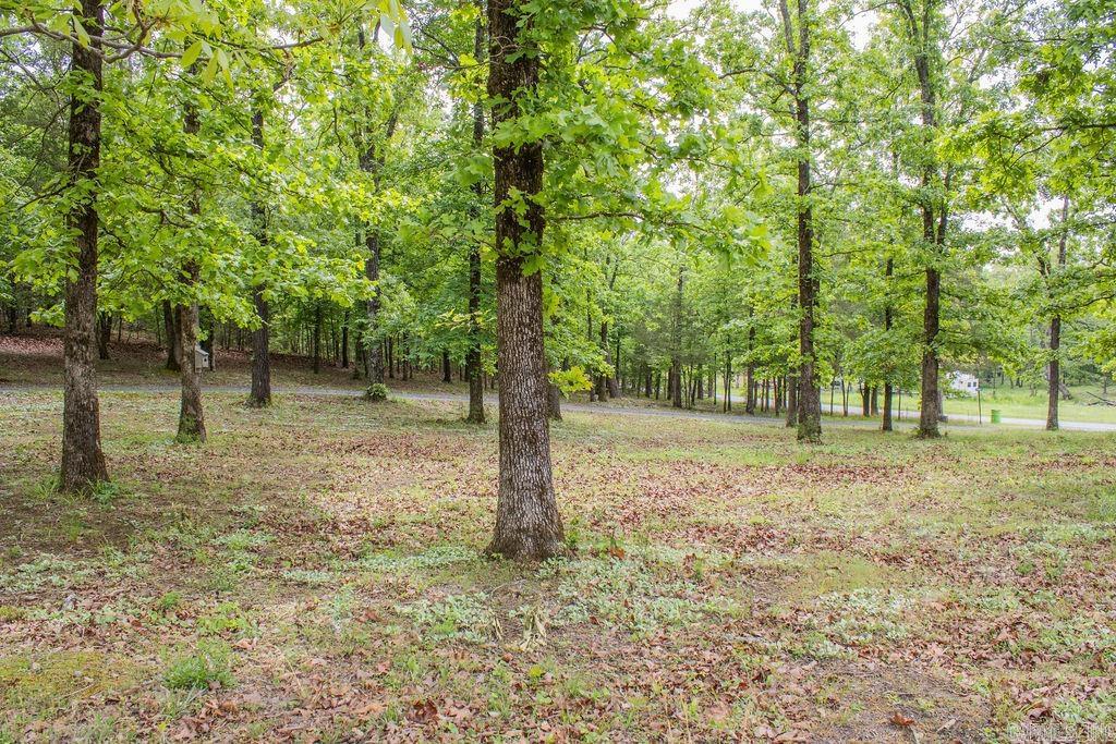 522 Polk Road 56  Mena, AR