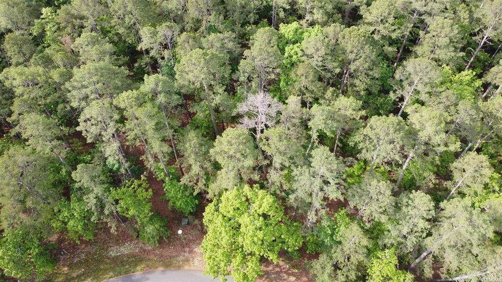 50 Cresta  Hot Springs Village, AR