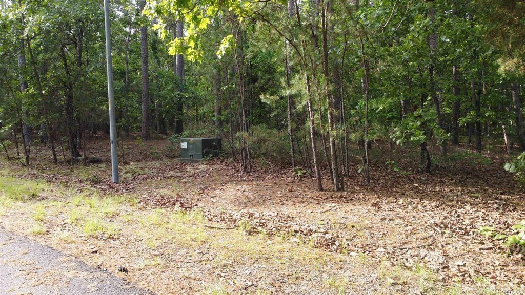 50 Cresta  Hot Springs Village, AR
