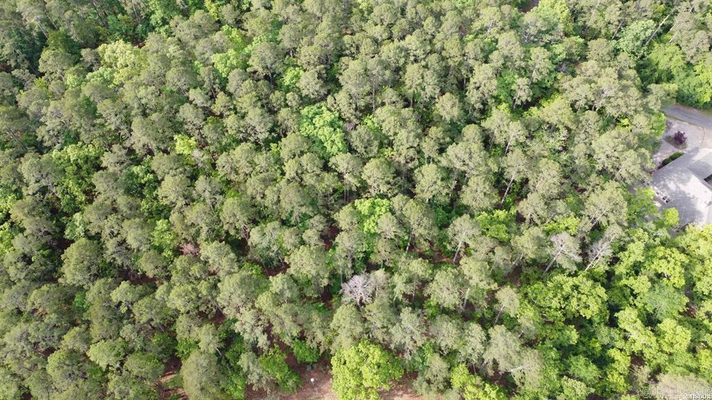 50 Cresta  Hot Springs Village, AR