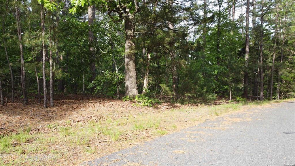 50 Cresta  Hot Springs Village, AR