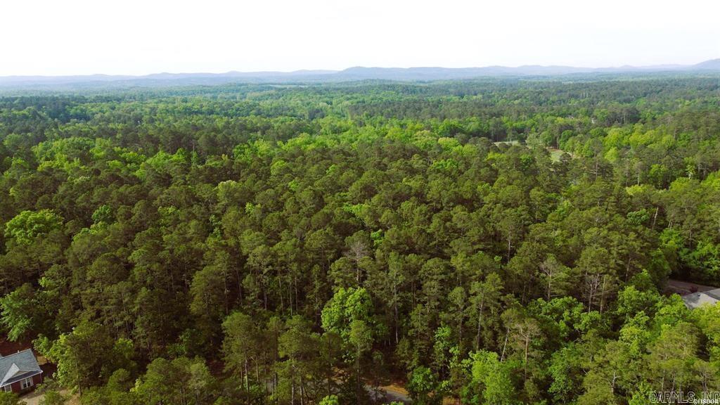 50 Cresta  Hot Springs Village, AR