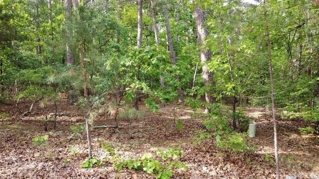 50 Cresta  Hot Springs Village, AR