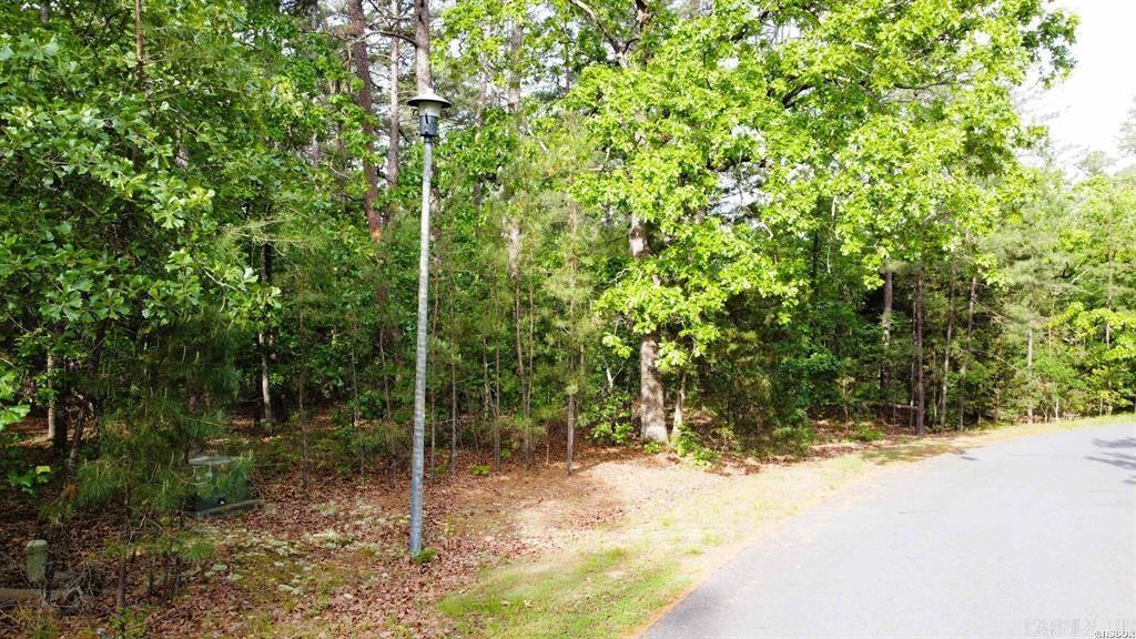 50 Cresta  Hot Springs Village, AR