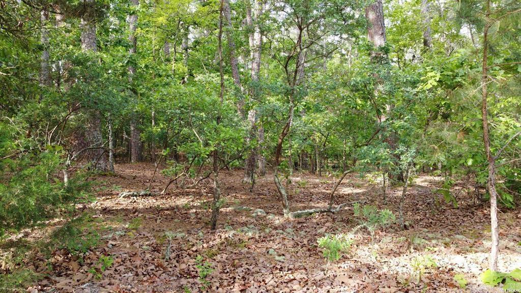 50 Cresta  Hot Springs Village, AR