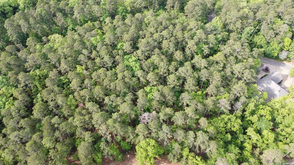 50 Cresta  Hot Springs Village, AR