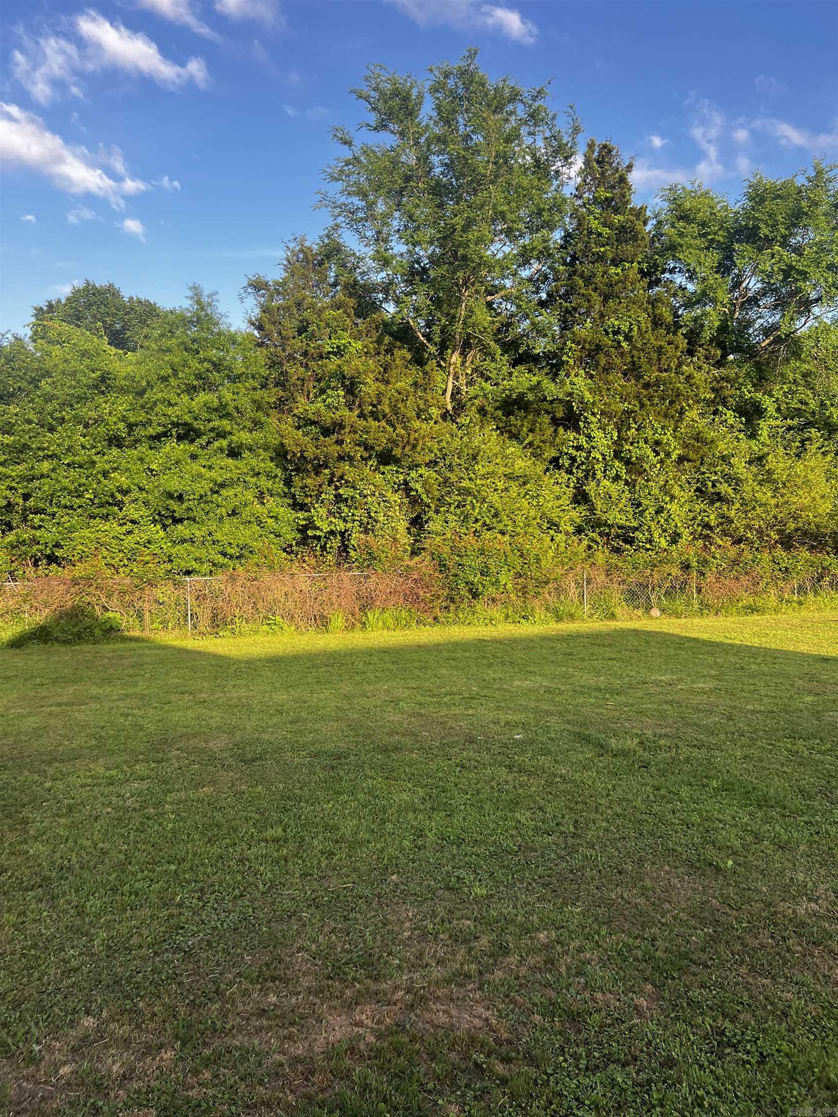 48 Piney  Bigelow, AR