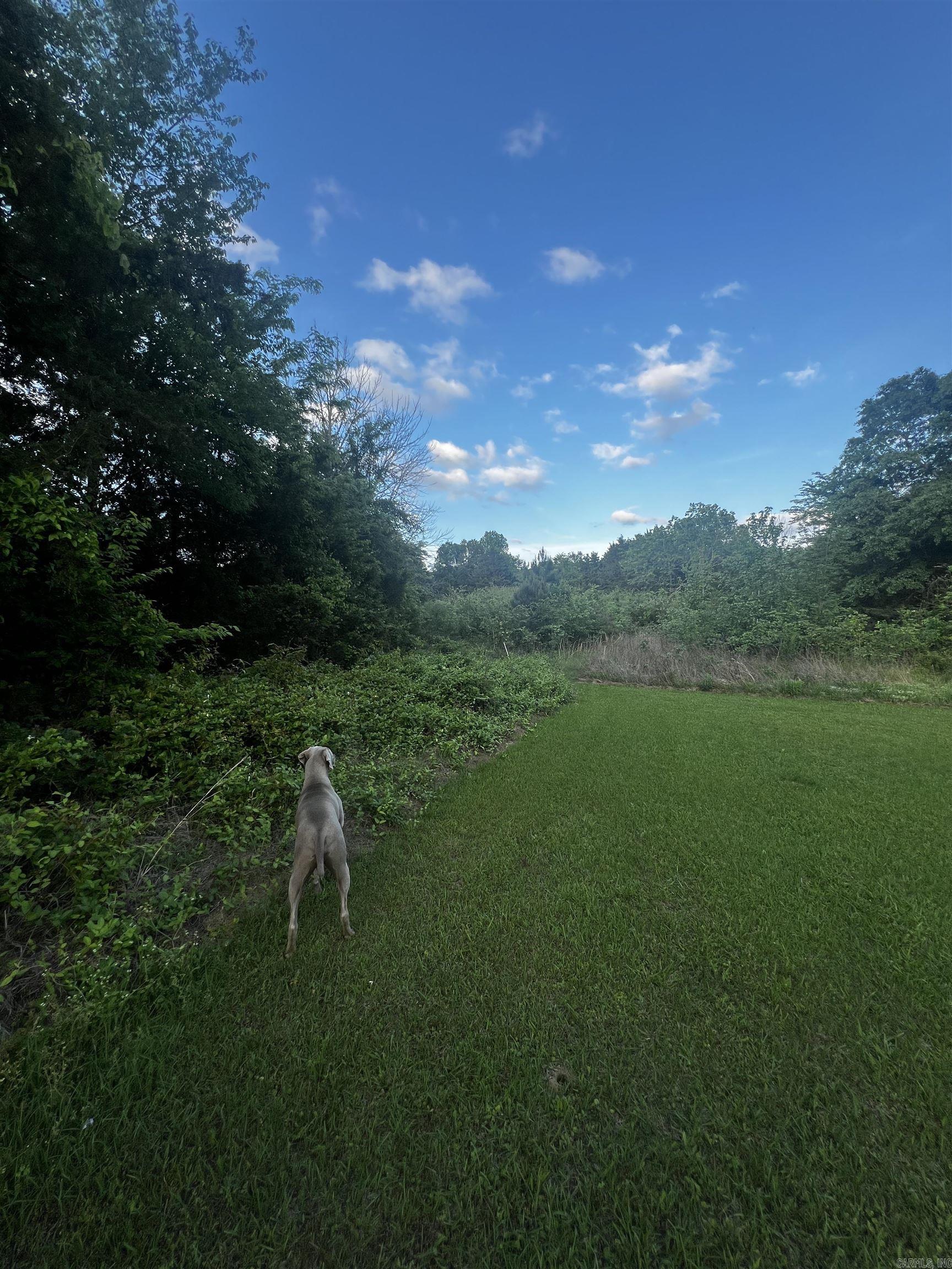 48 Piney  Bigelow, AR