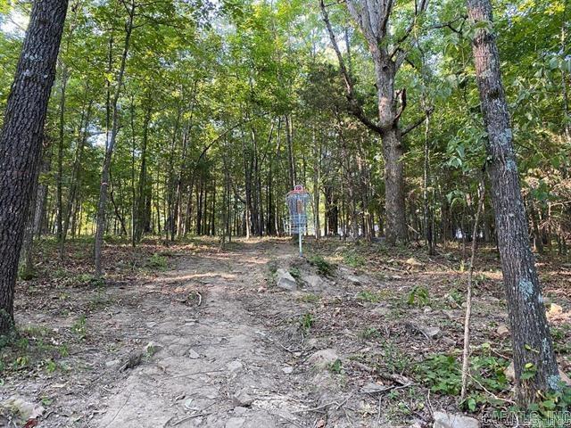 3050 Woodruff Creek Drive  Sherwood, AR