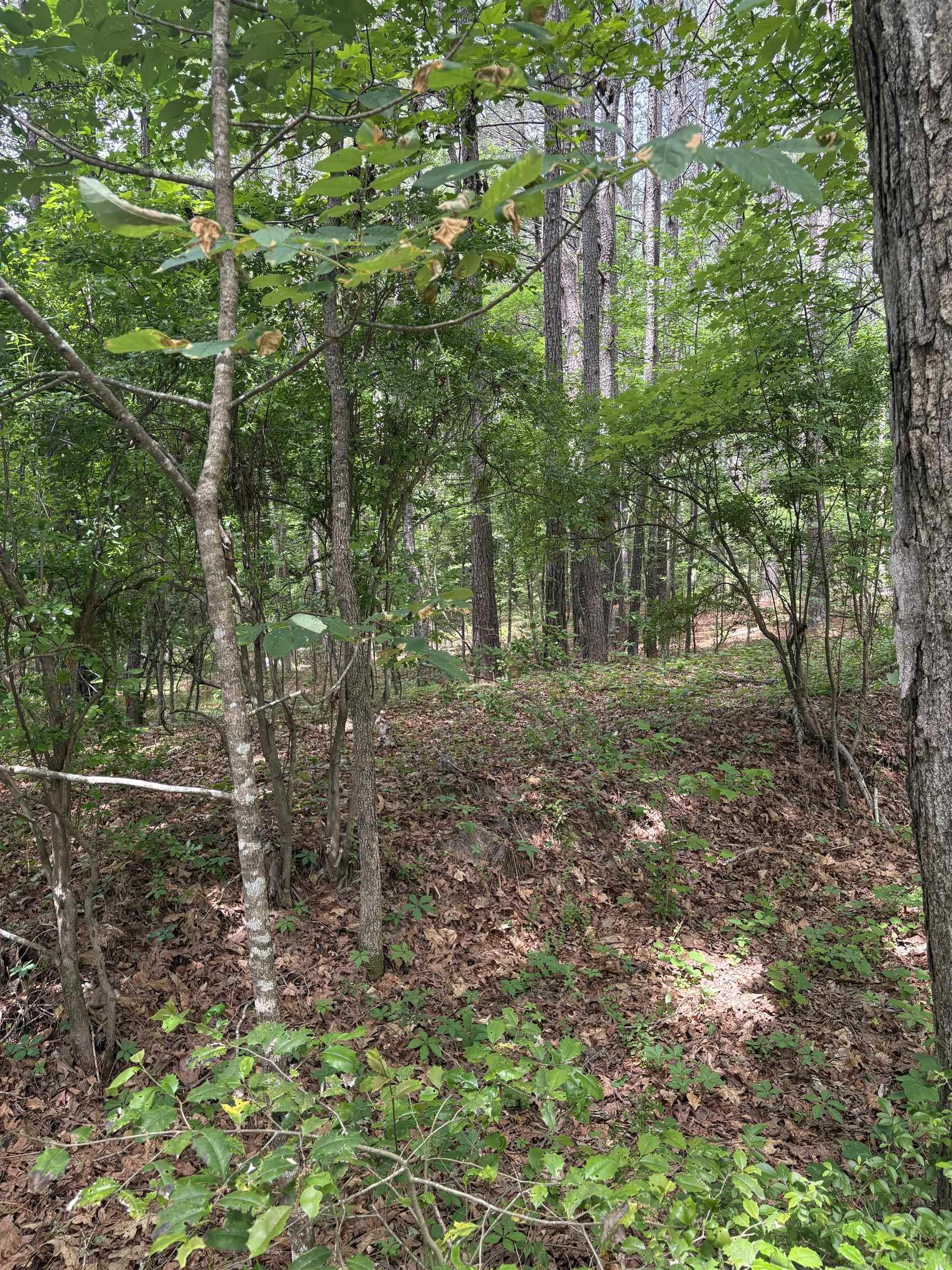 000 W Woodson Lateral  Hensley, AR