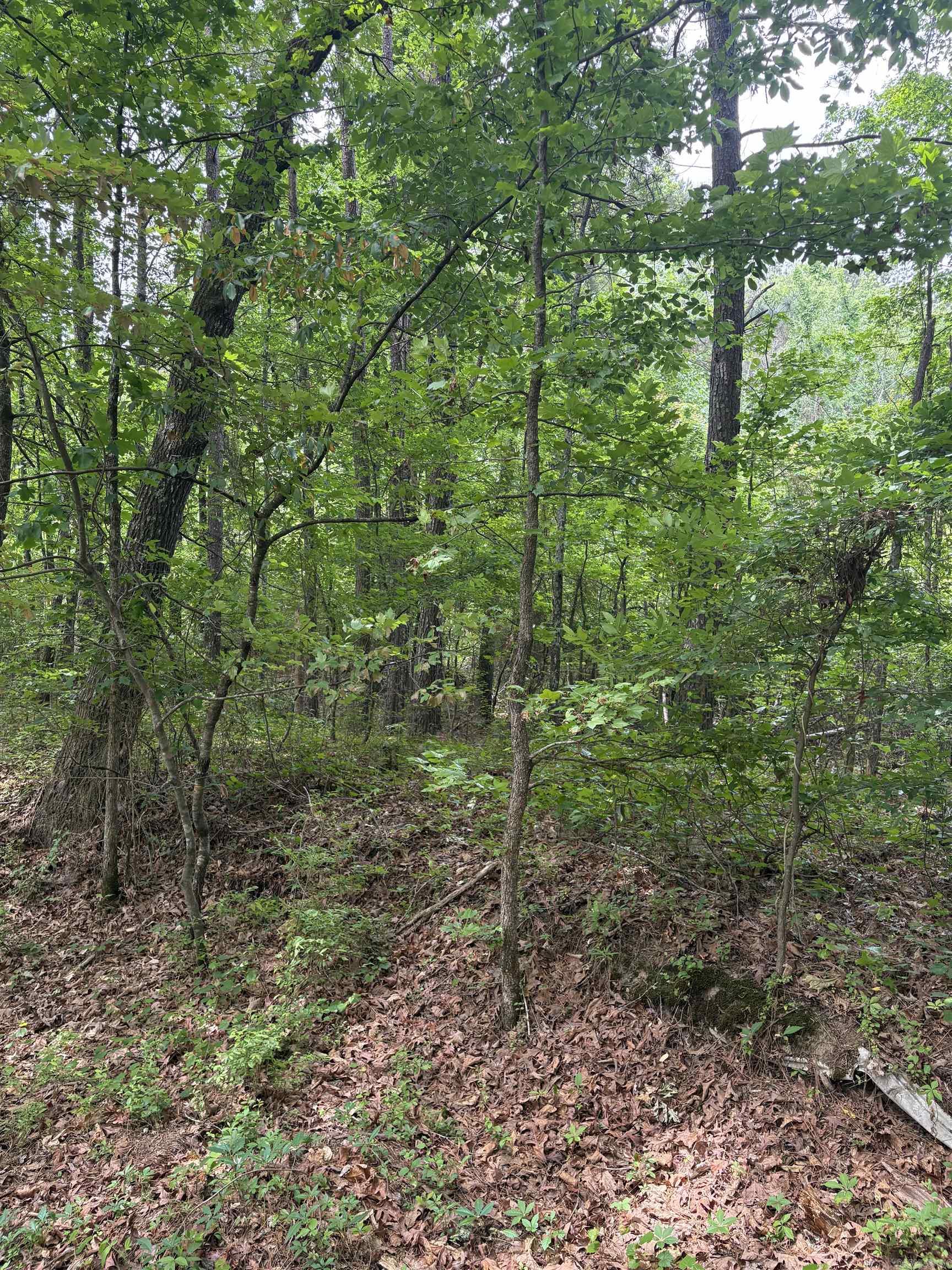 000 W Woodson Lateral  Hensley, AR