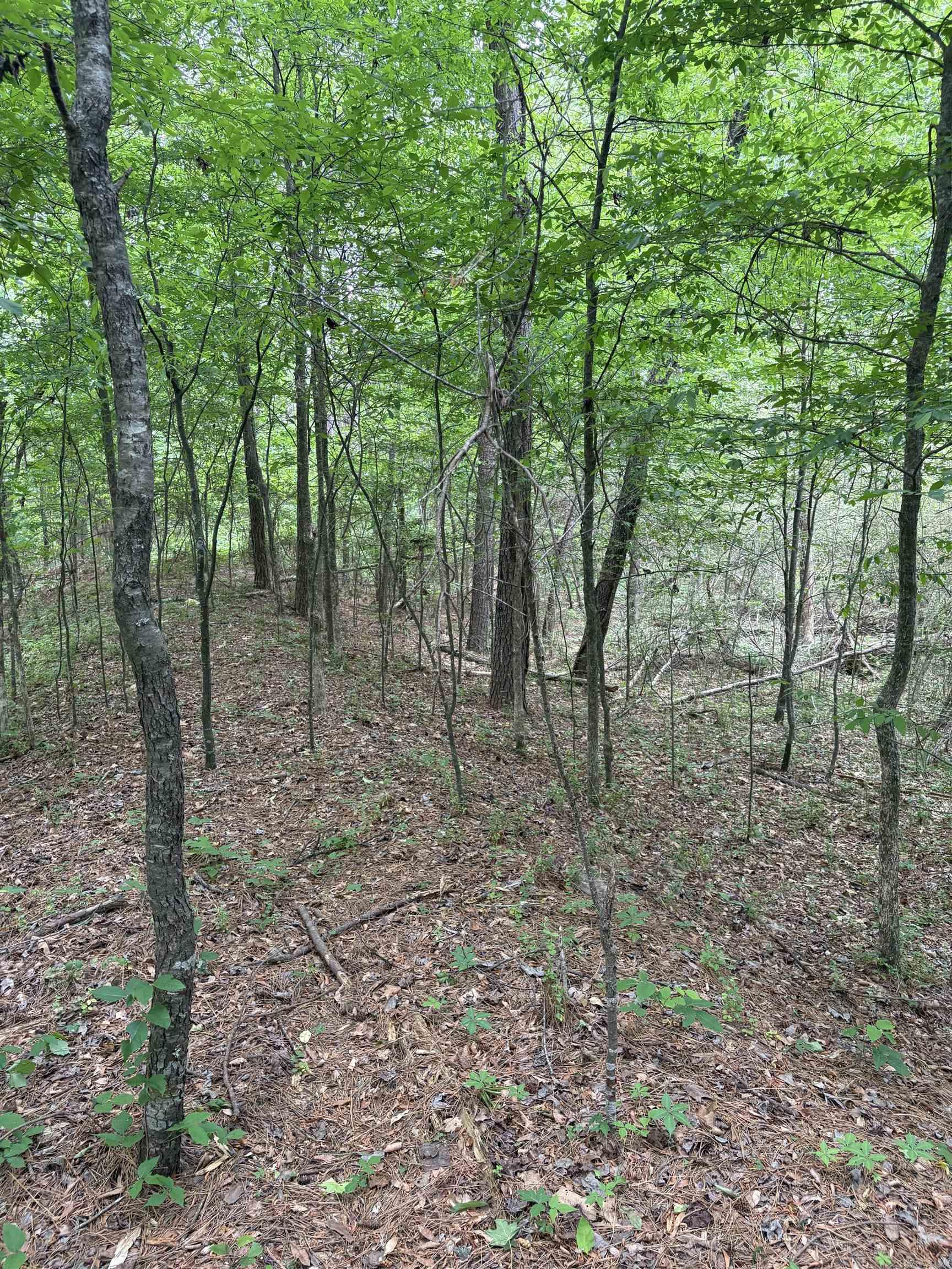 000 W Woodson Lateral  Hensley, AR