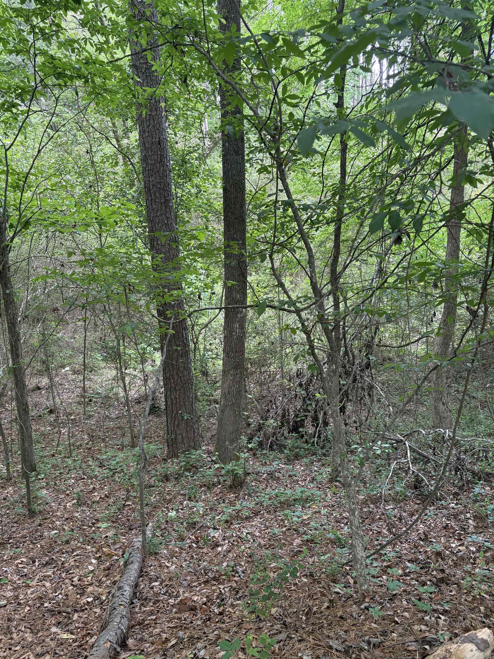 000 W Woodson Lateral  Hensley, AR