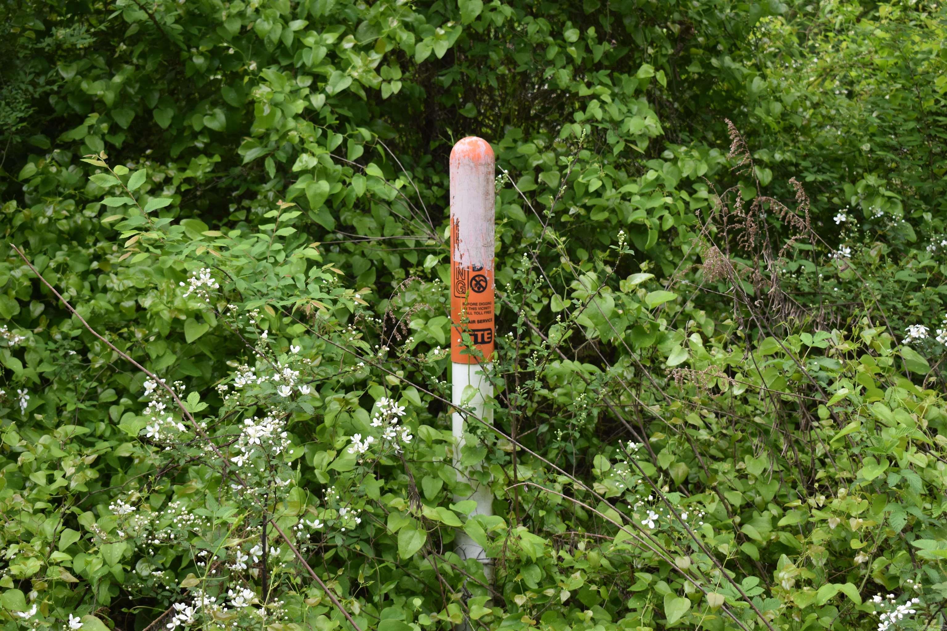 0000 Dooley Road  Parks, AR