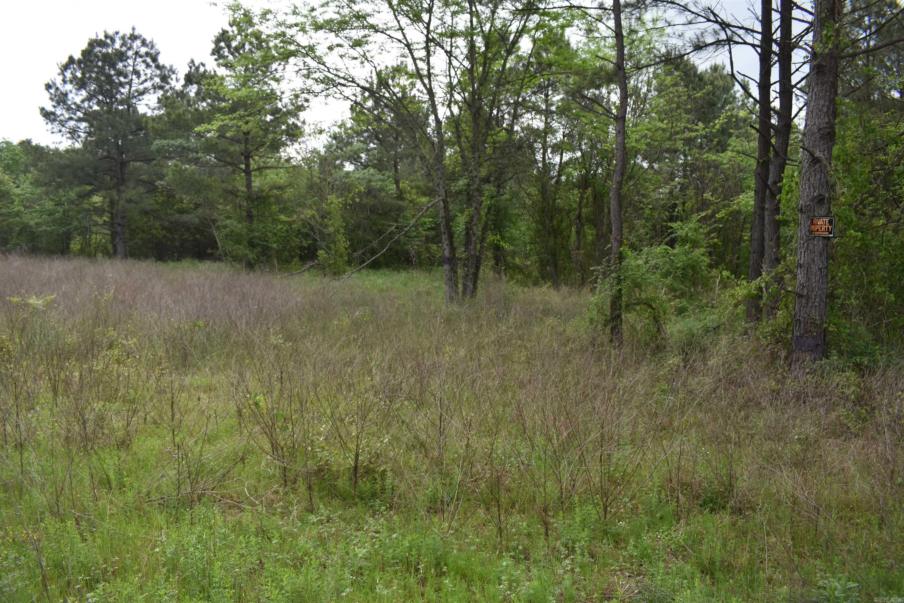 0000 Dooley Road  Parks, AR