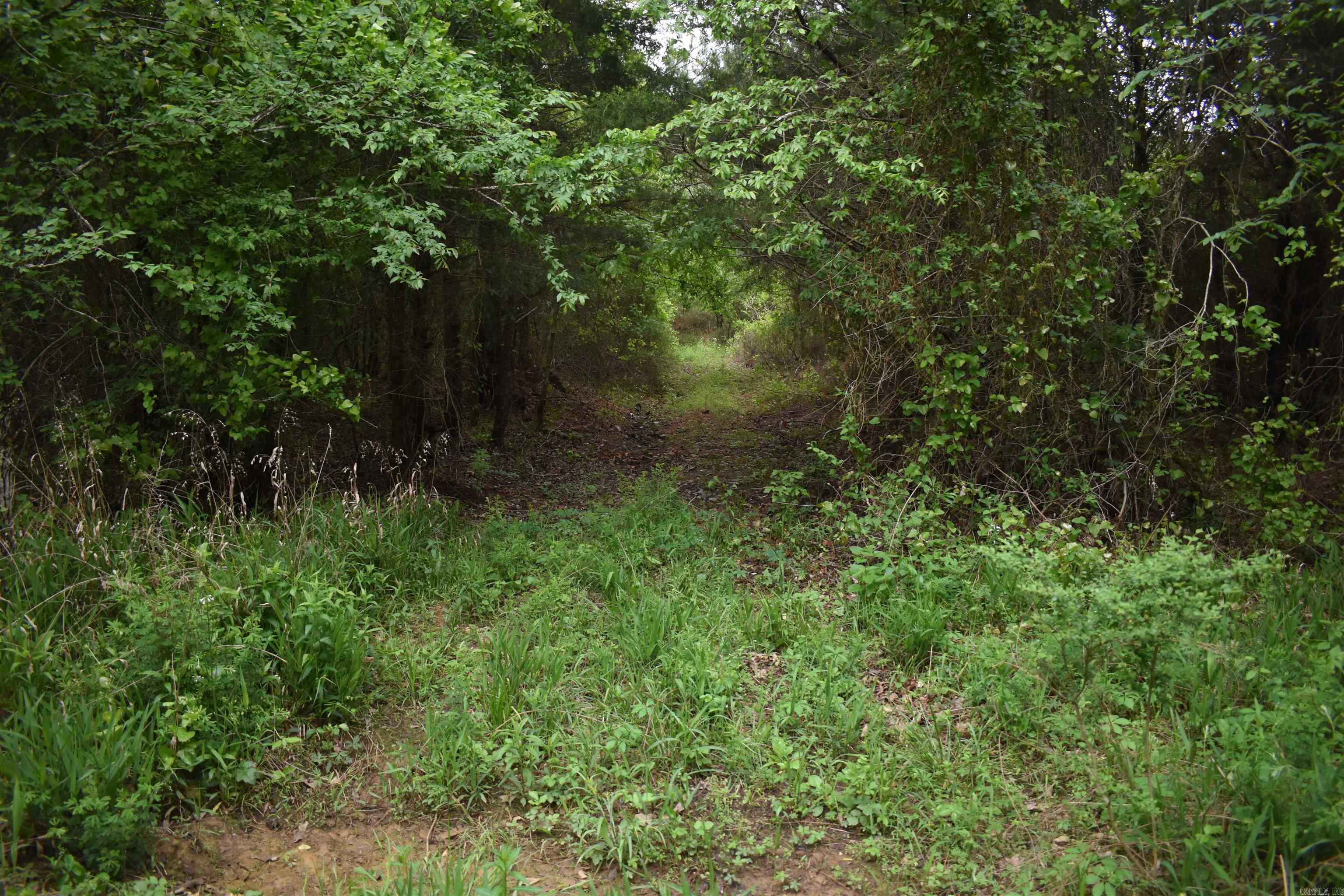 0000 Dooley Road  Parks, AR