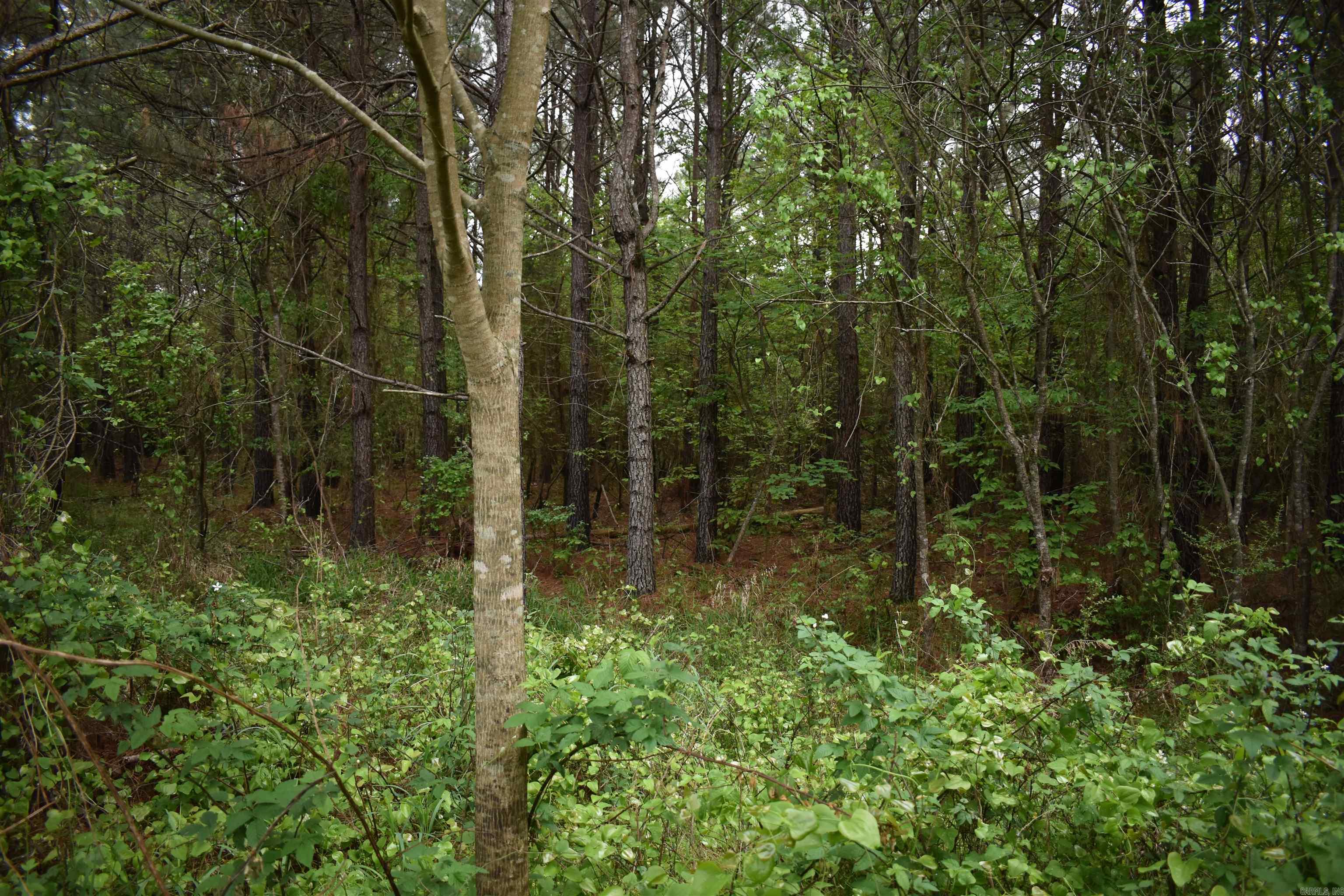 0000 Dooley Road  Parks, AR