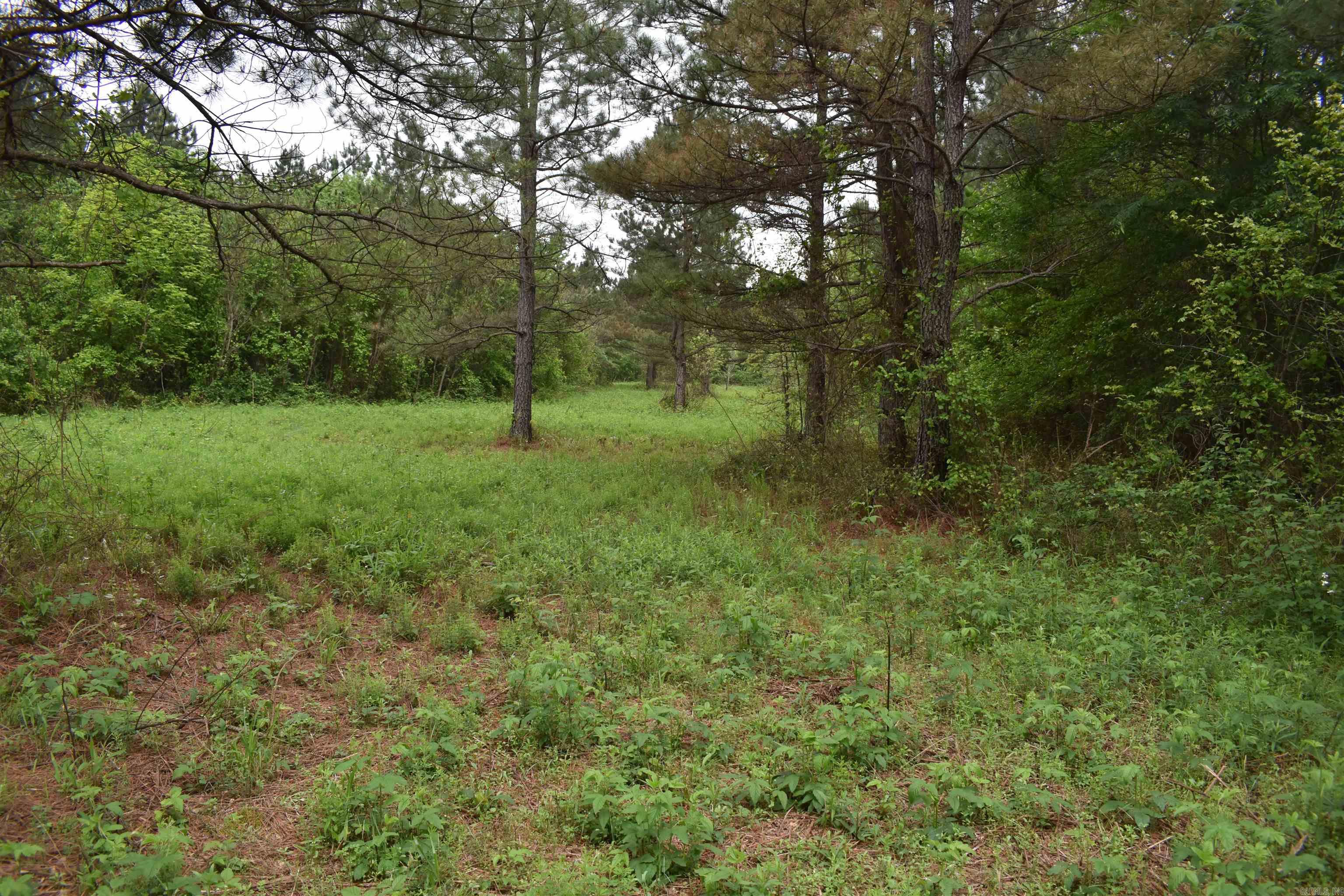 0000 Dooley Road  Parks, AR