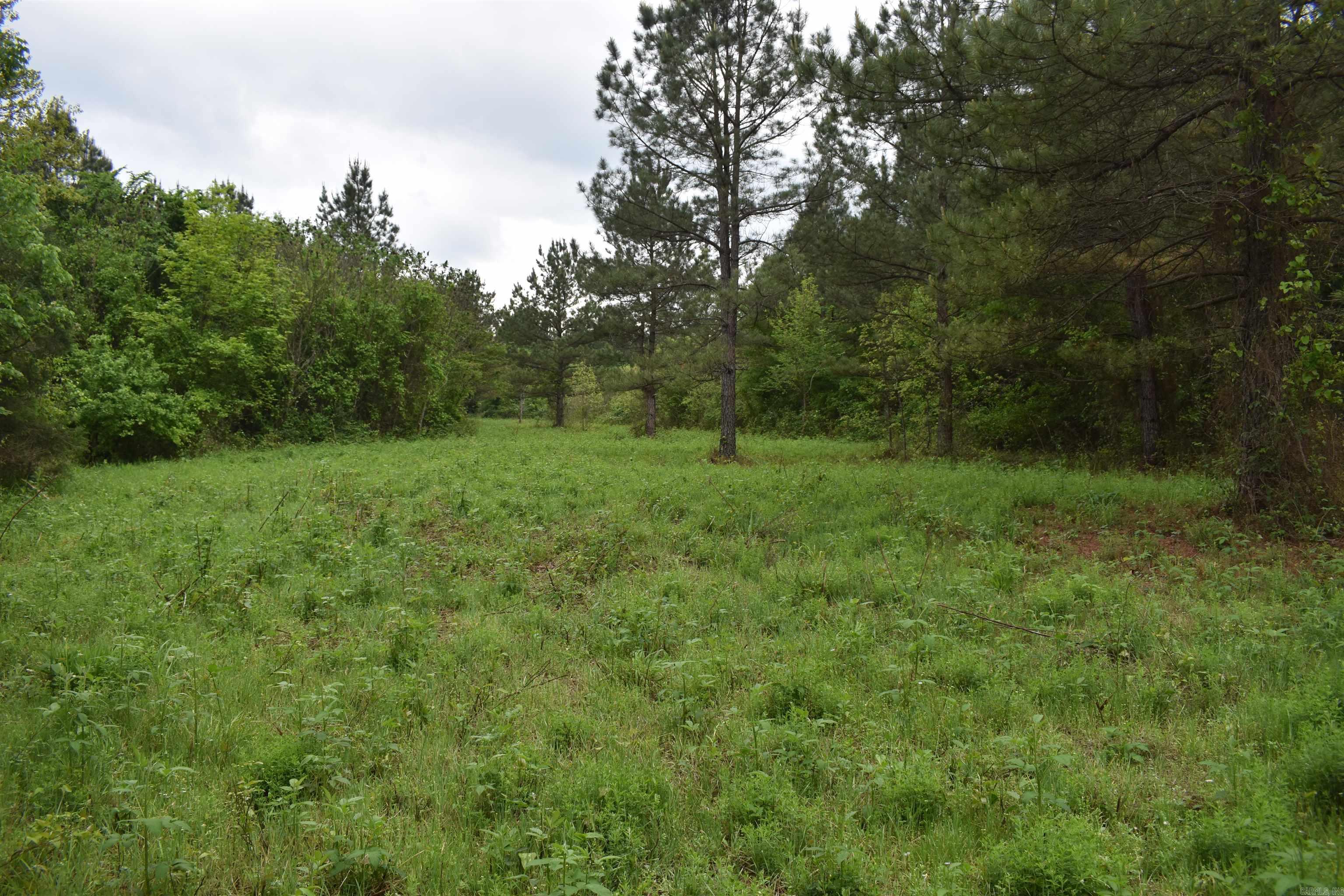 0000 Dooley Road  Parks, AR