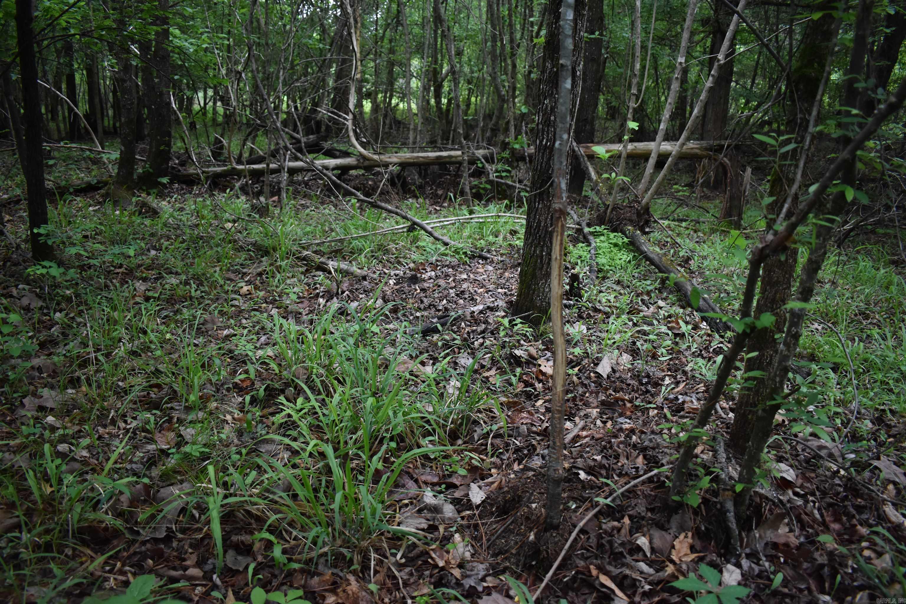 0000 Dooley Road  Parks, AR