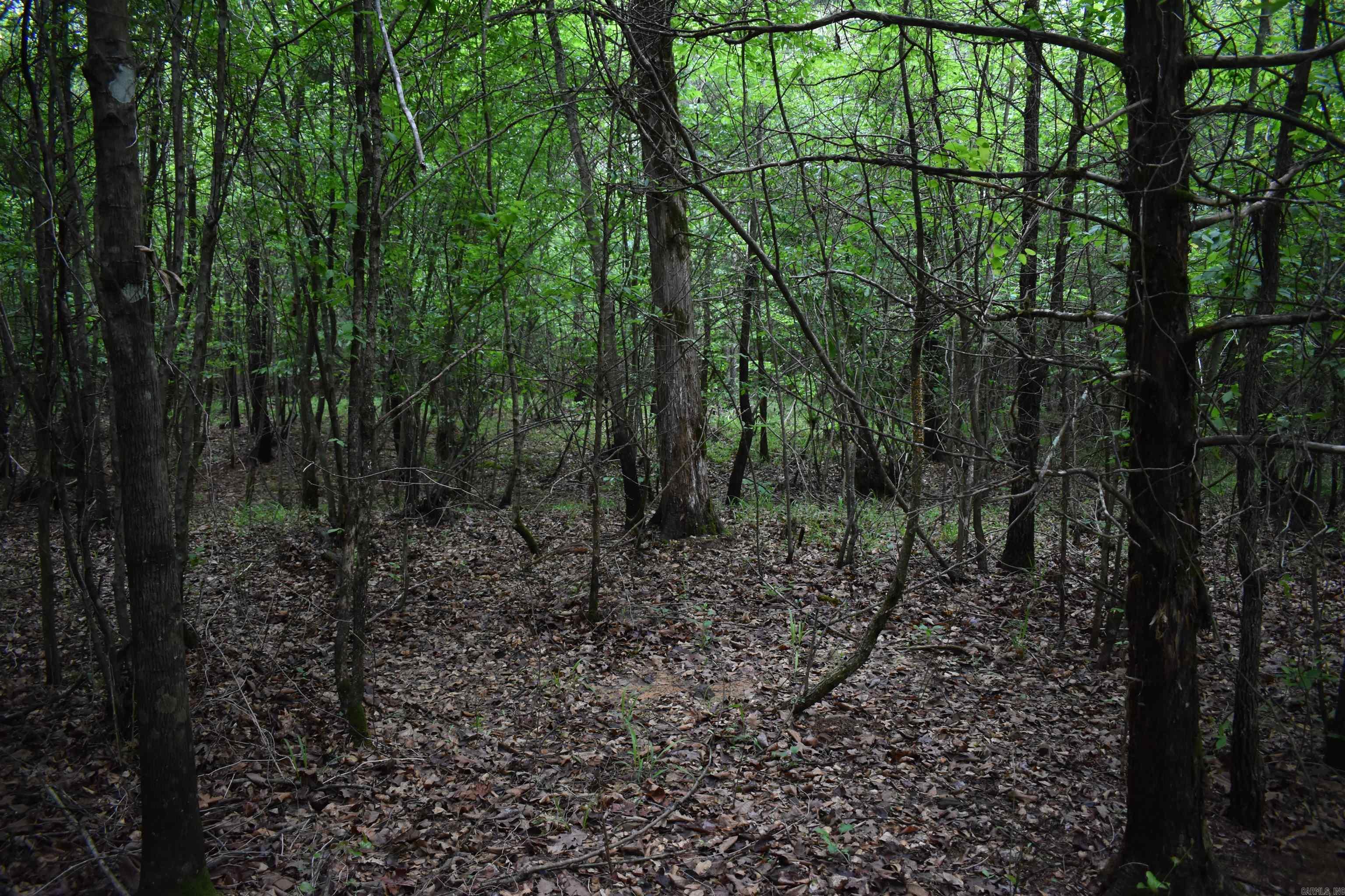 0000 Dooley Road  Parks, AR