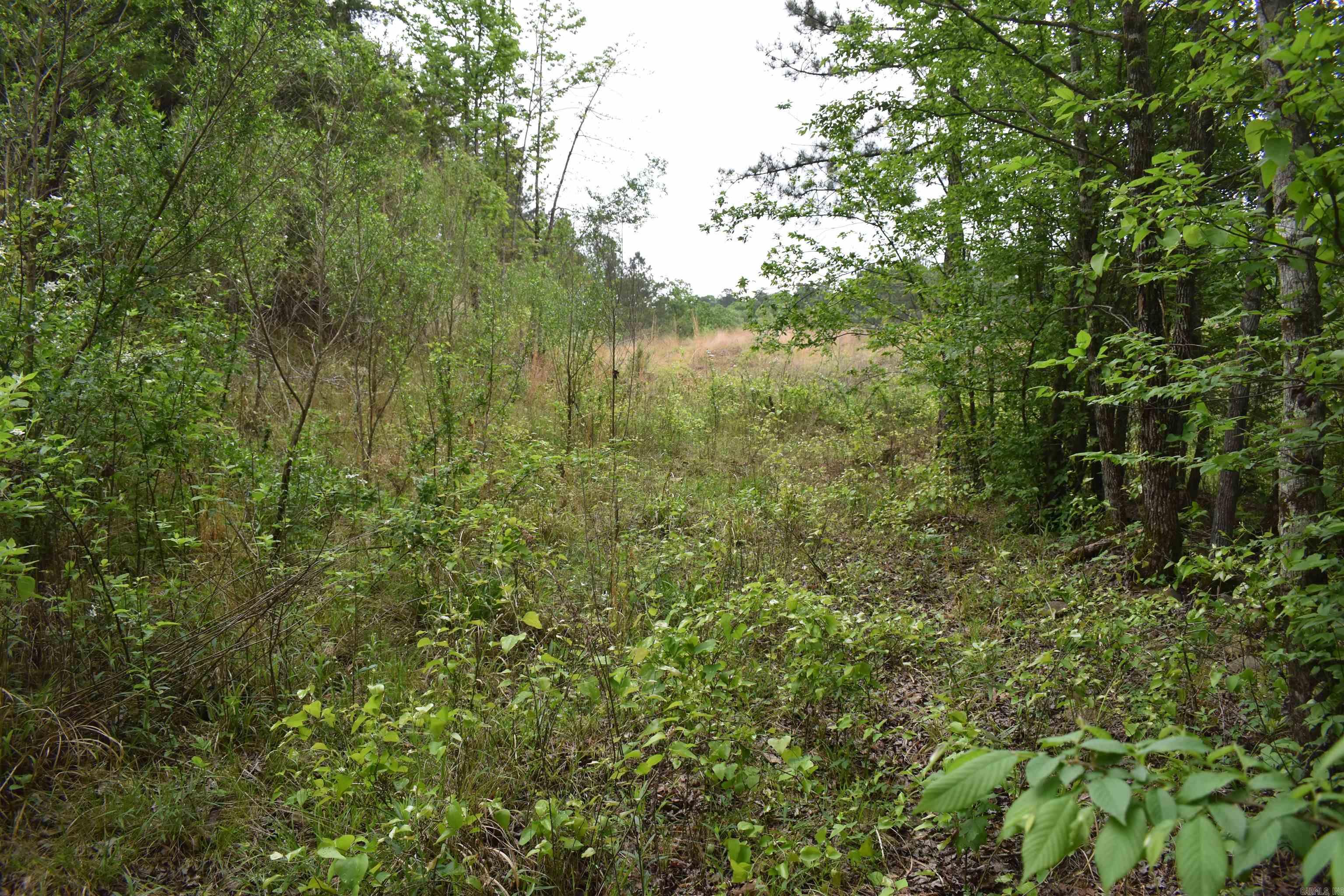 0000 Dooley Road  Parks, AR