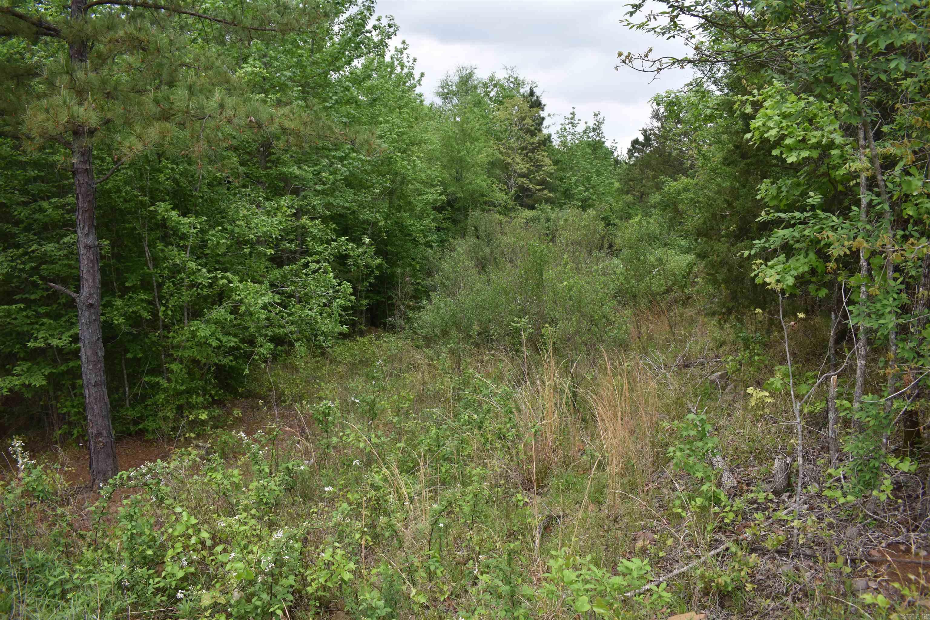 0000 Dooley Road  Parks, AR