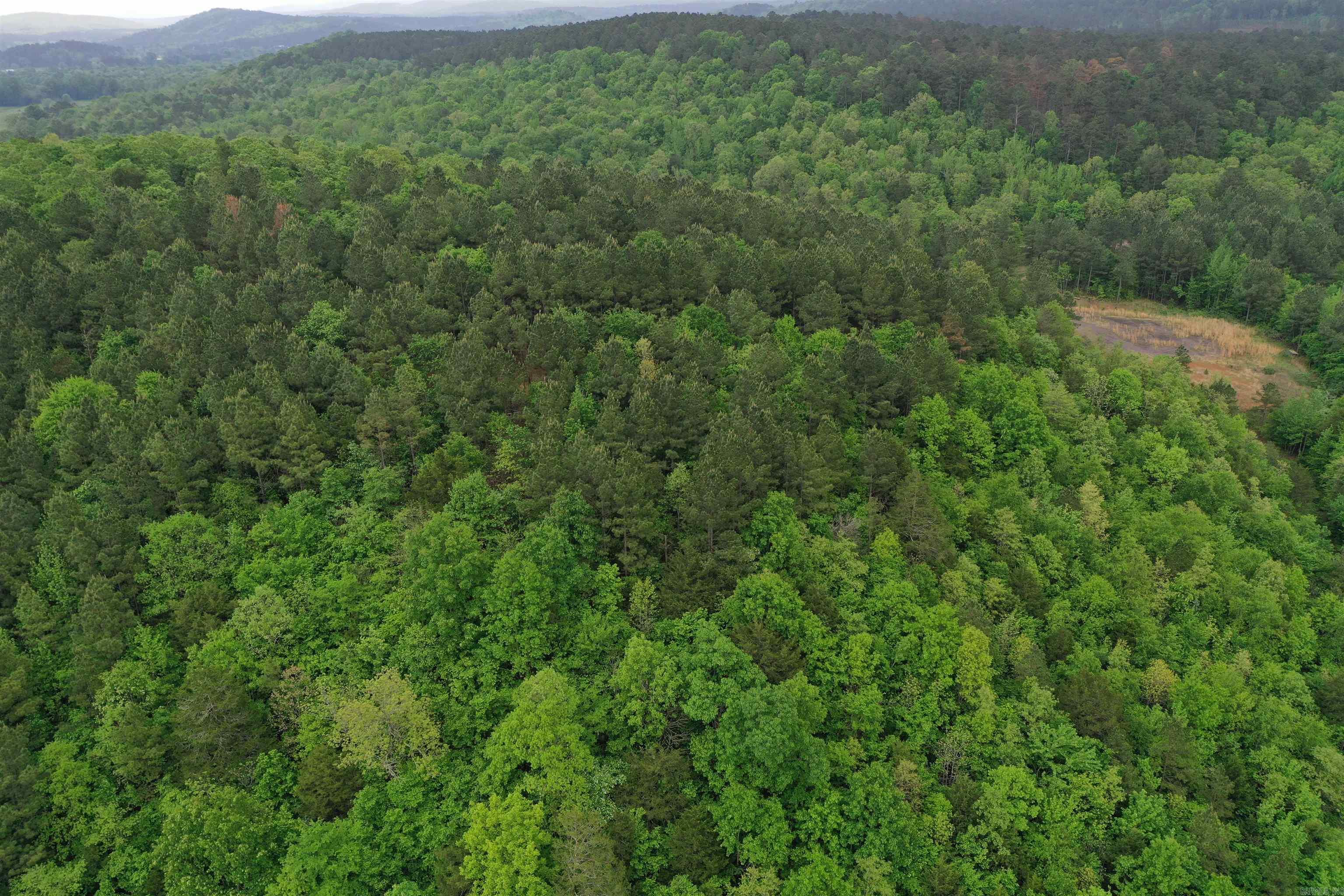 0000 Dooley Road  Parks, AR