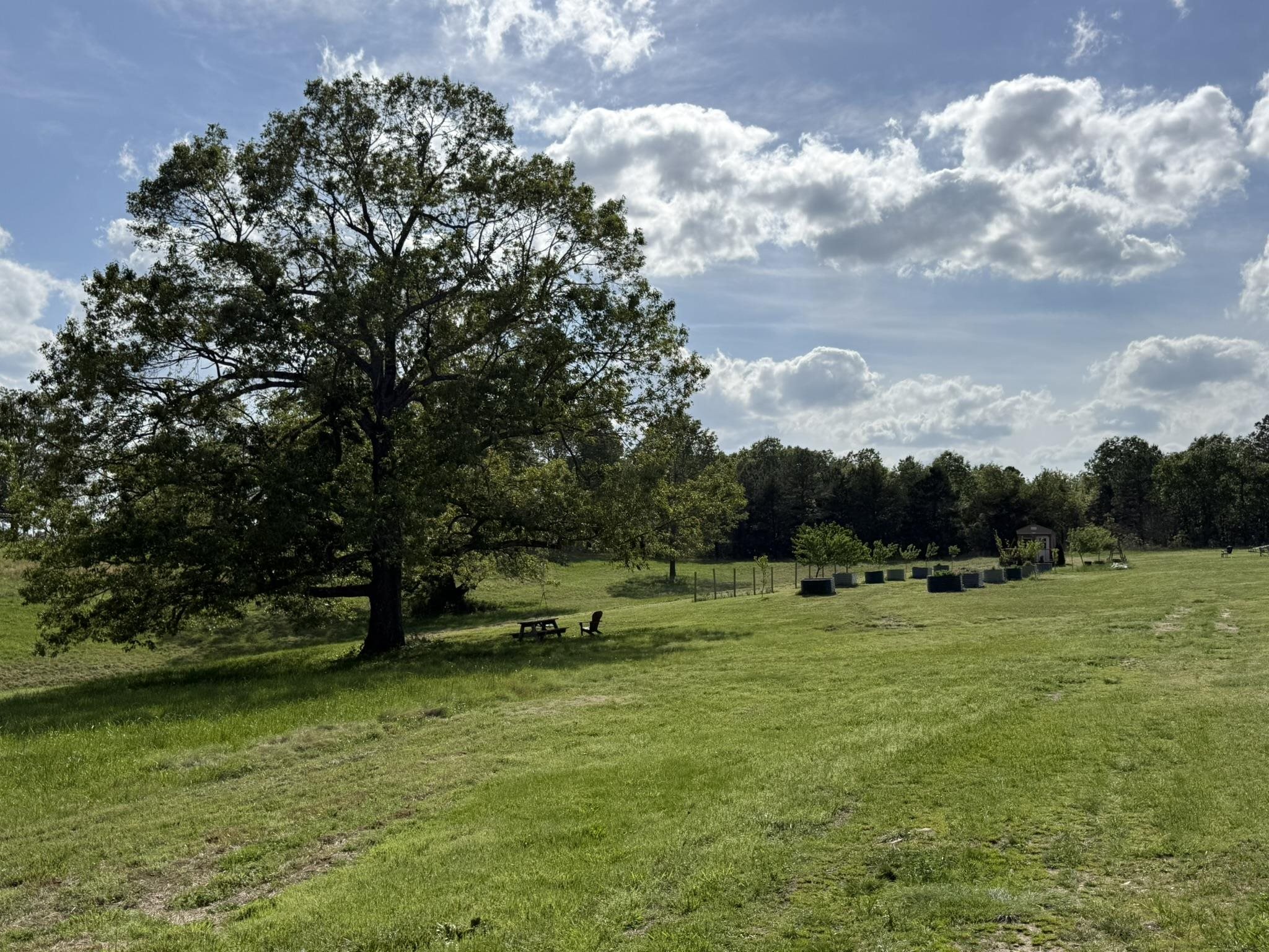 378 Yancey Road  Oxford, AR