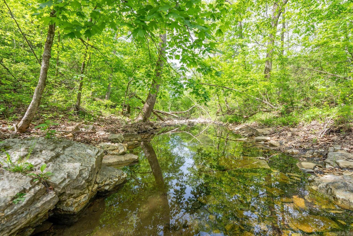 3804 MC 6074 Road  Flippin, AR