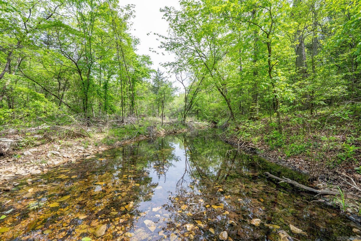 3804 MC 6074 Road  Flippin, AR