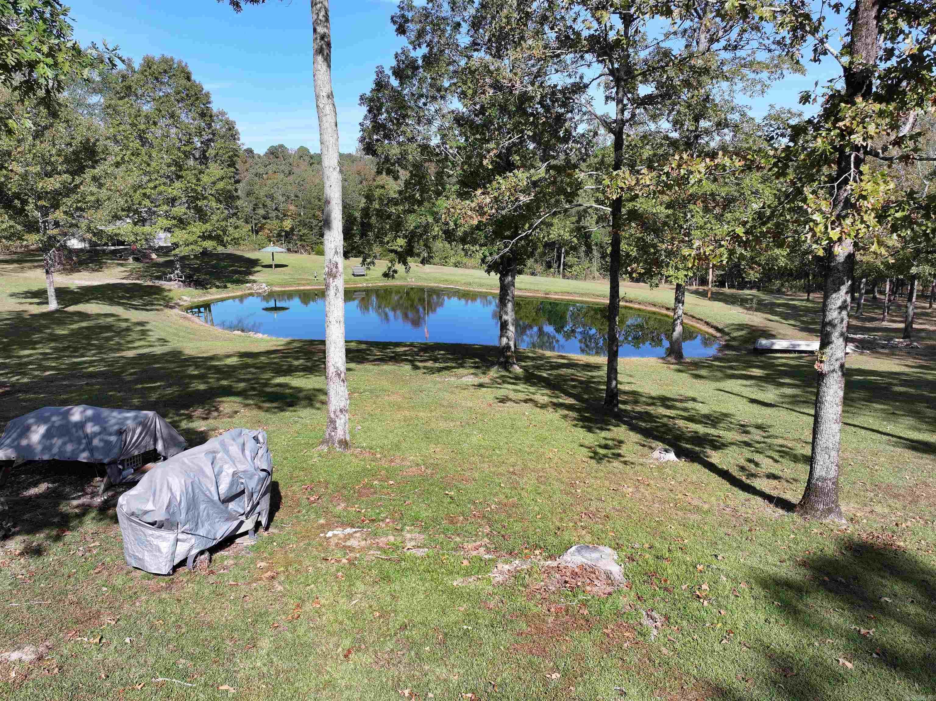 125 Clinton  Donaldson, AR