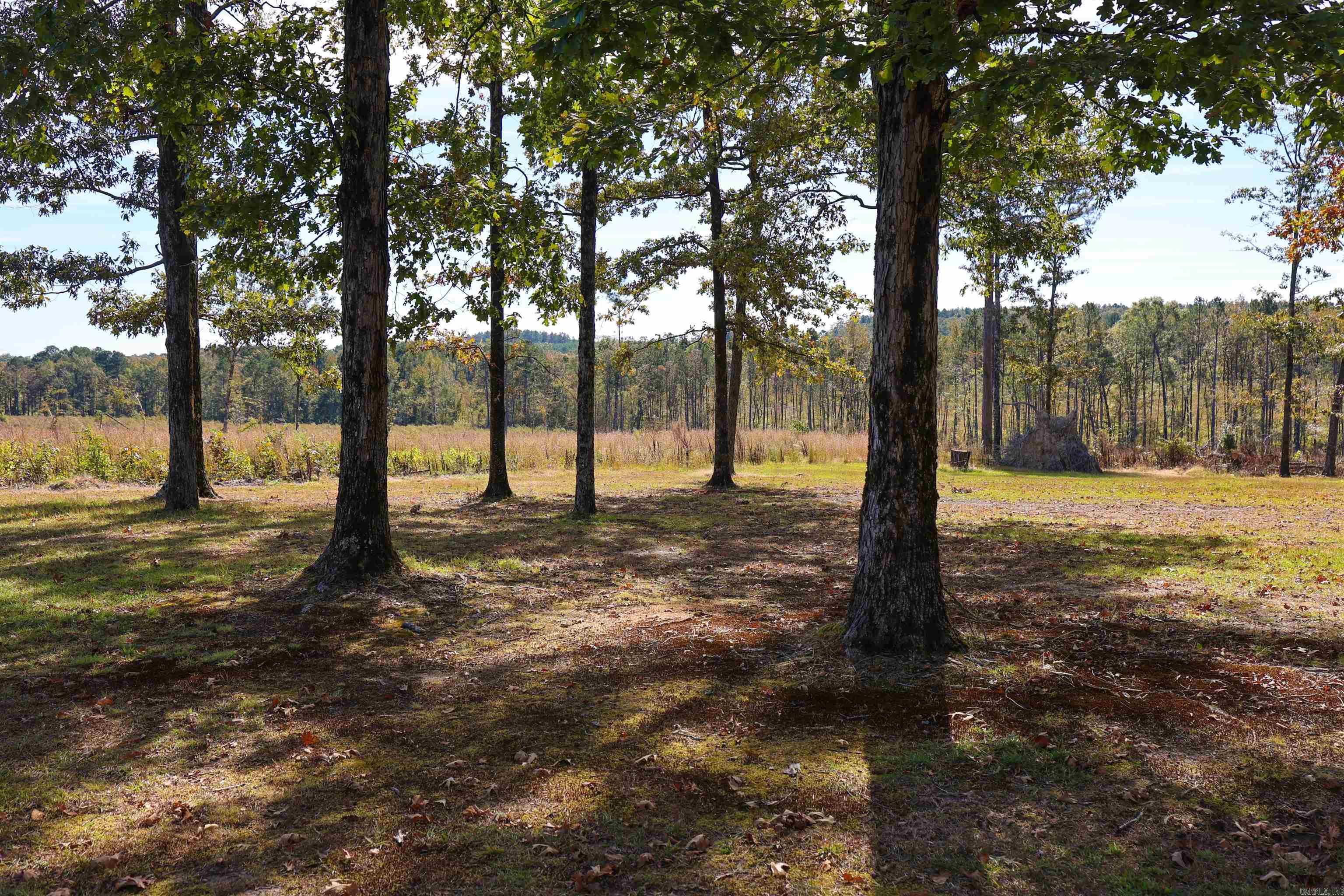 125 Clinton  Donaldson, AR