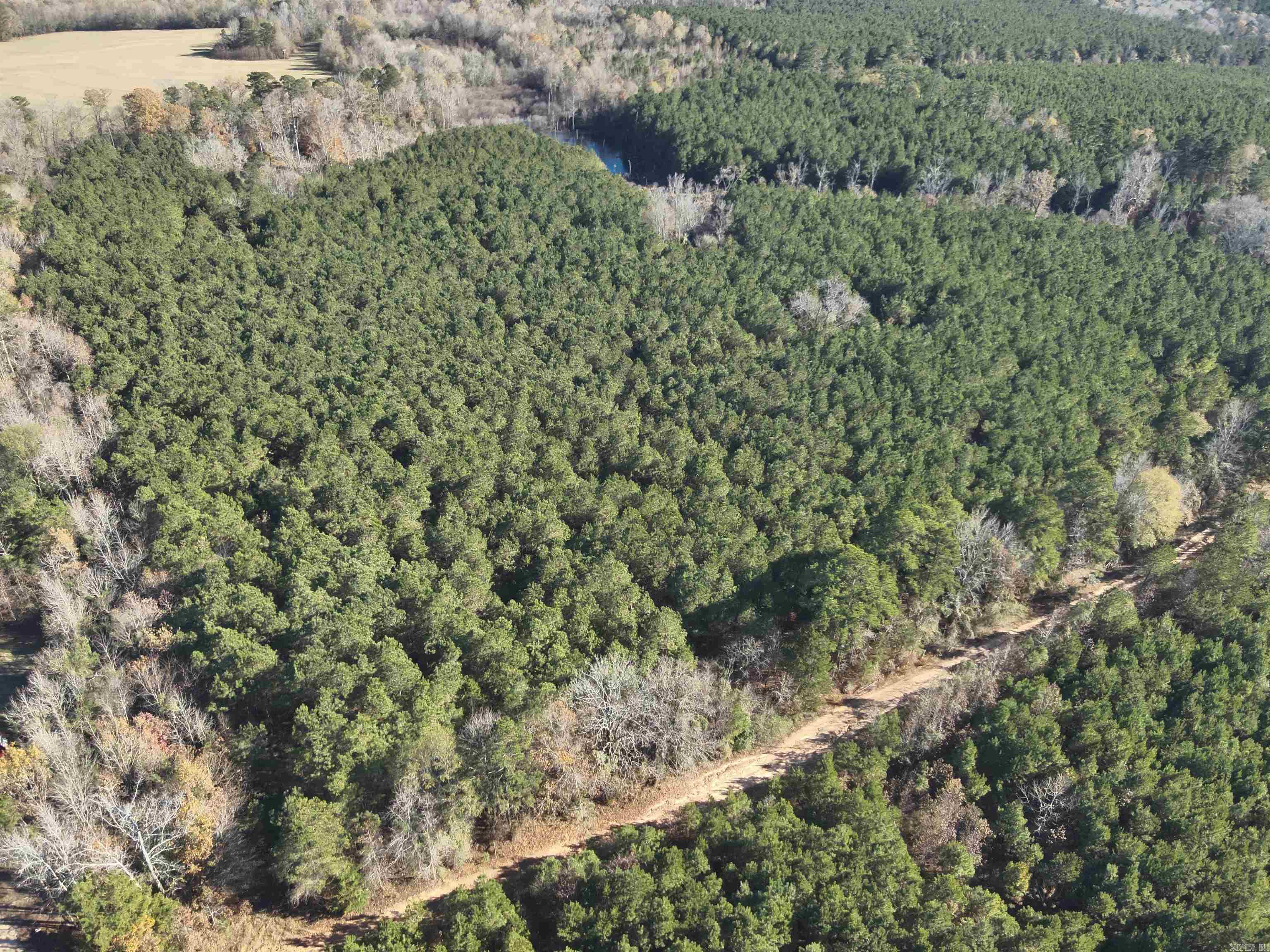 28-14-22 Nevada CR 141  Rosston, AR