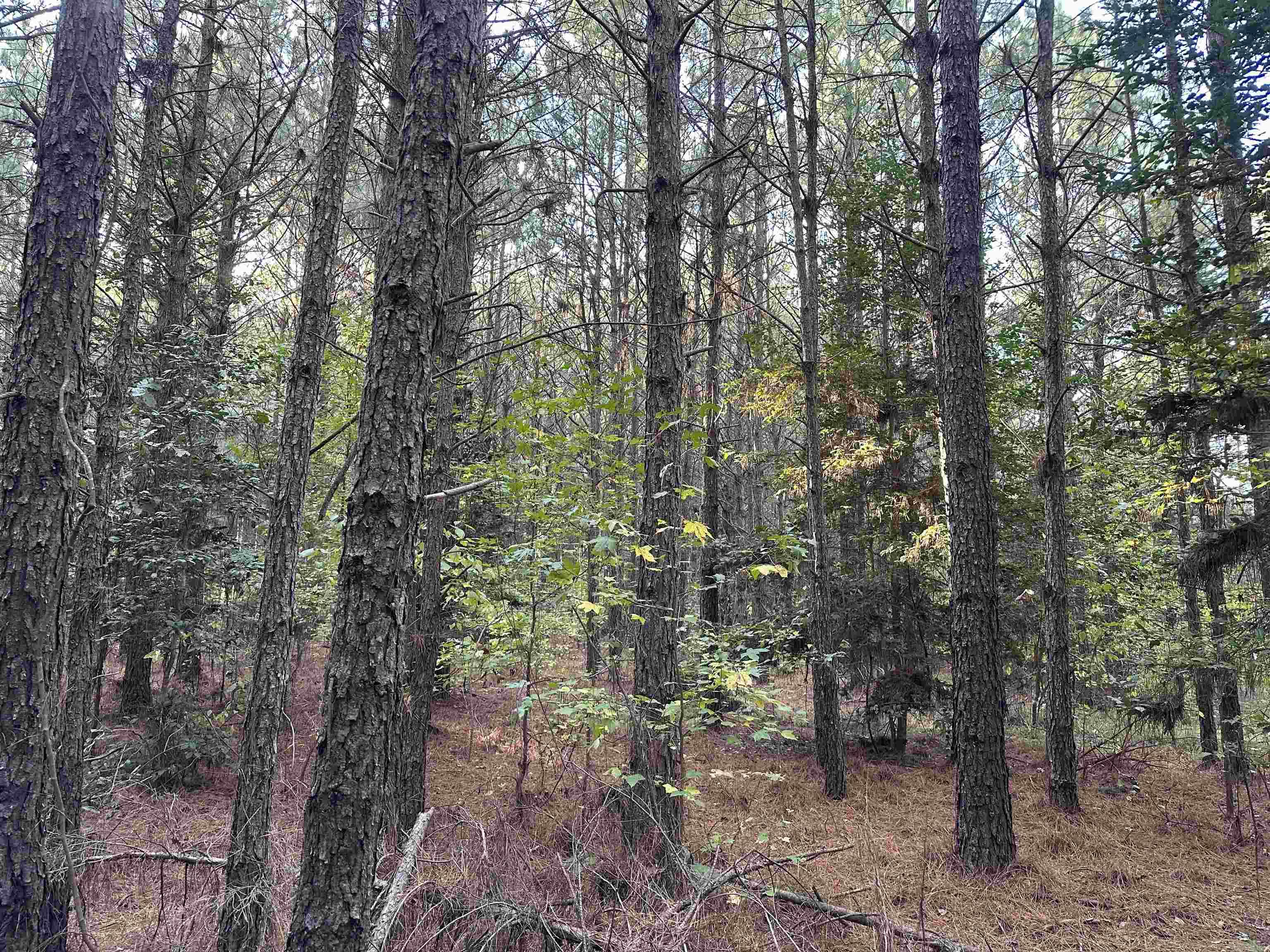 28-14-22 Nevada CR 141  Rosston, AR