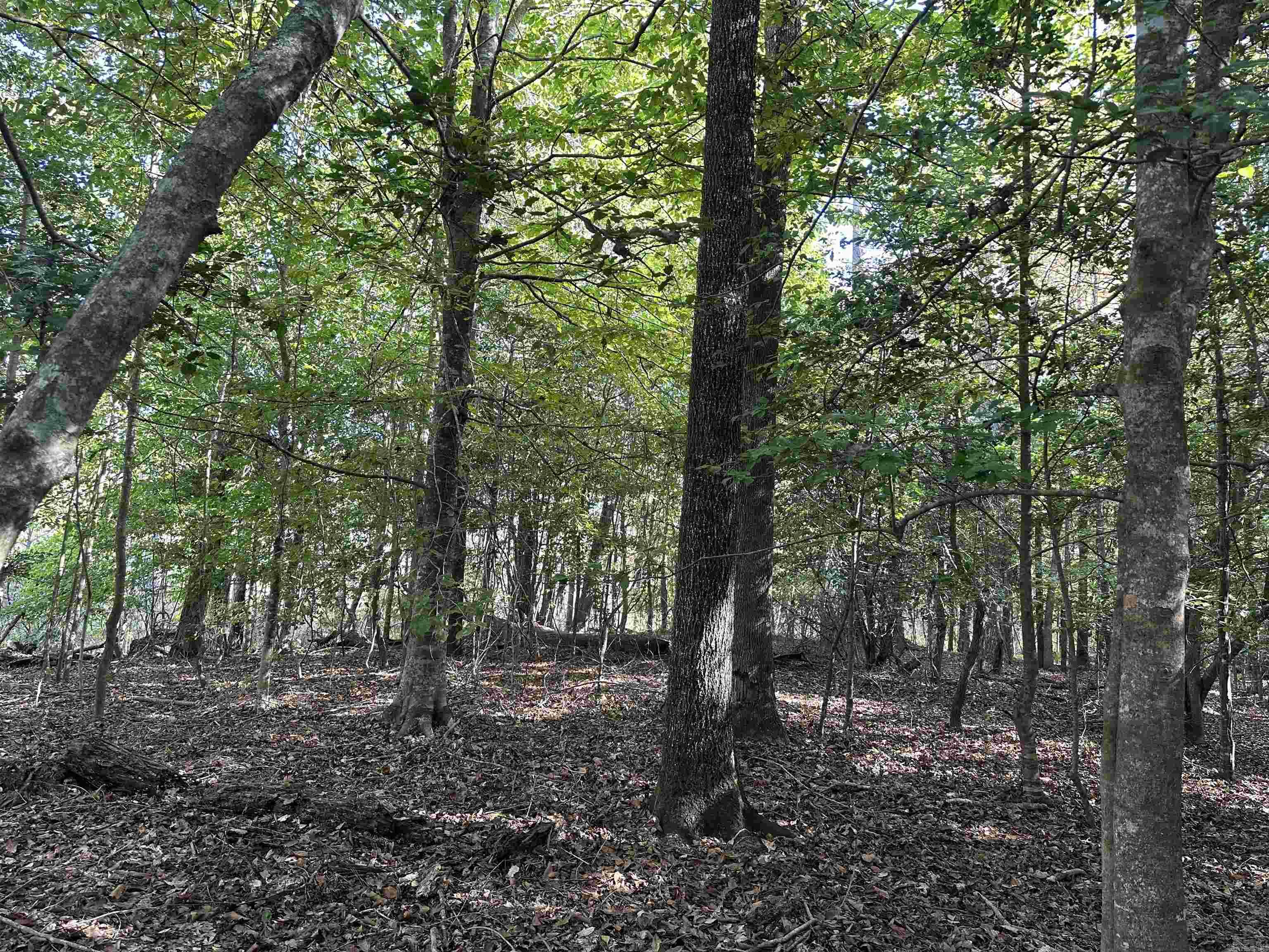 28-14-22 Nevada CR 141  Rosston, AR