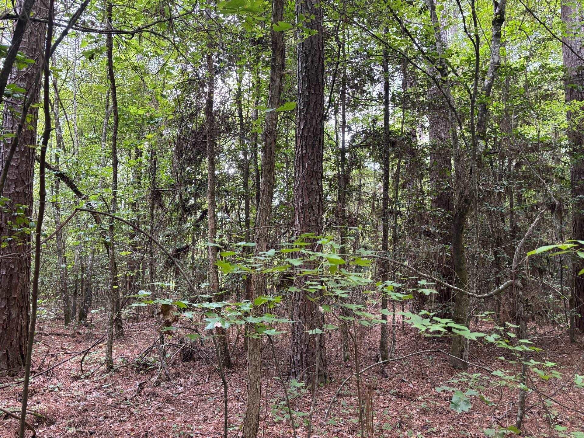 19-12-16 Ouachita CR 31  Harmony Grove, AR