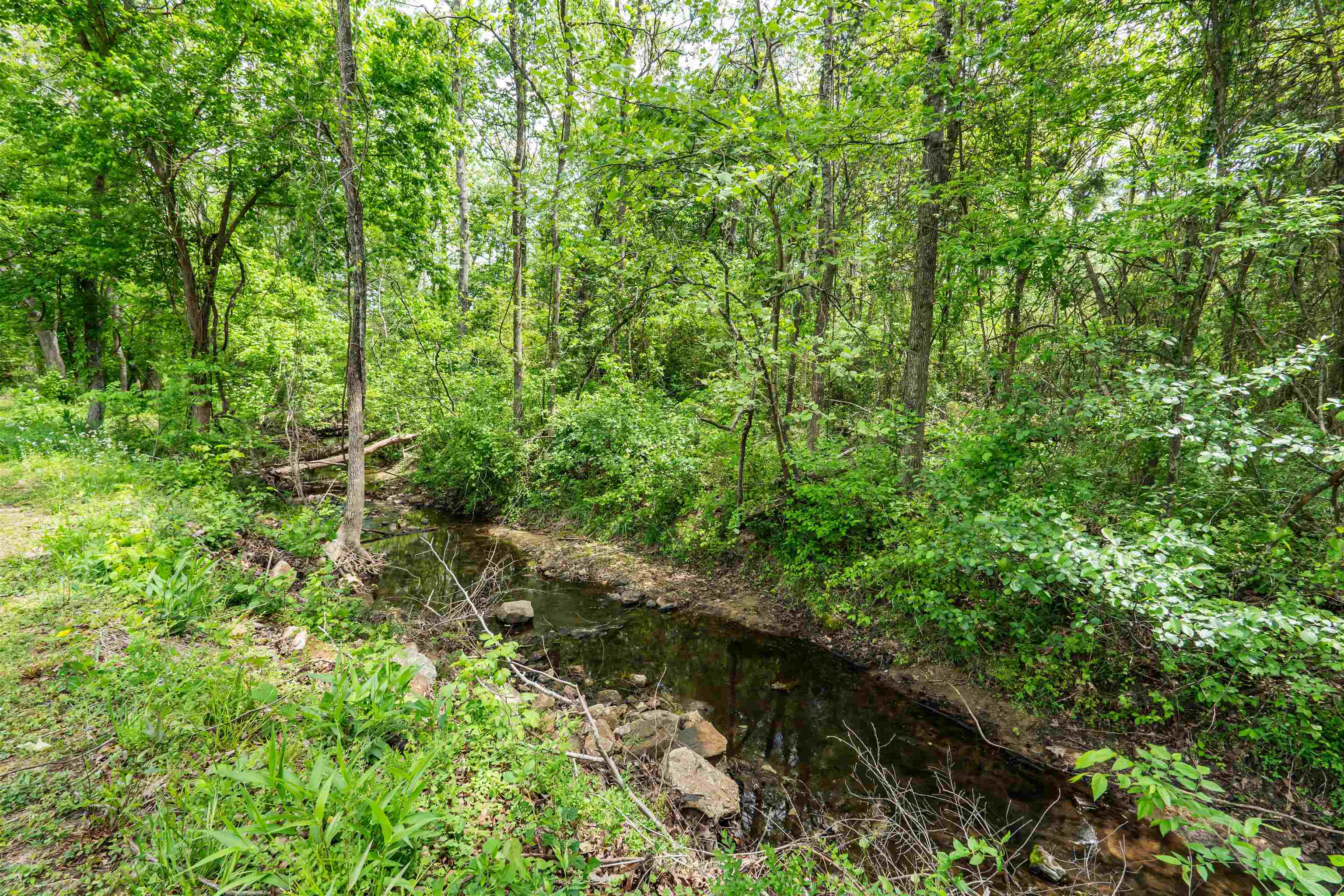 215 W Main Street  Evening Shade, AR