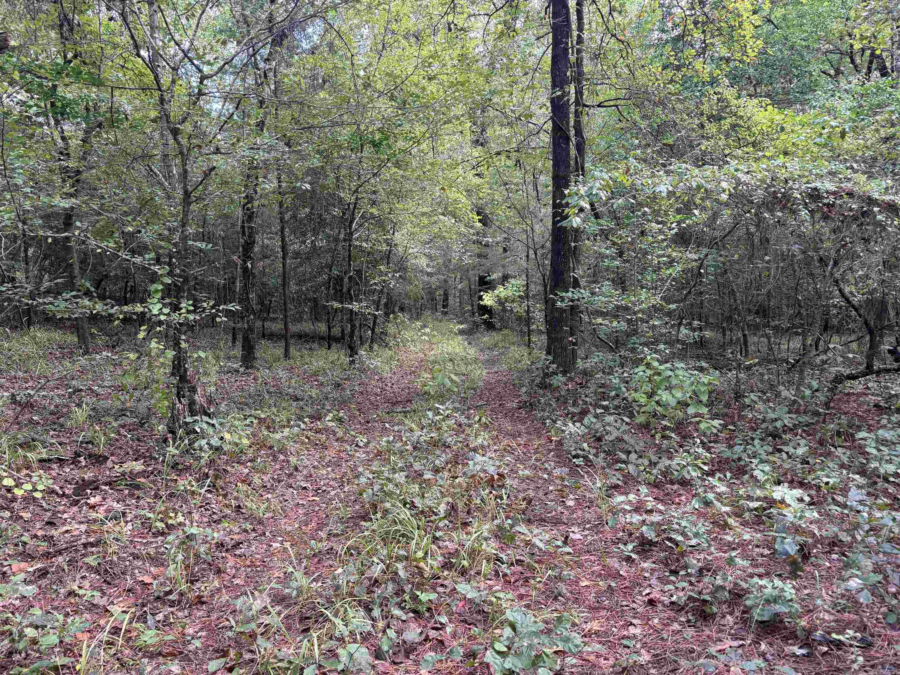 33,34-12-19 State Hwy 57  Chidester, AR