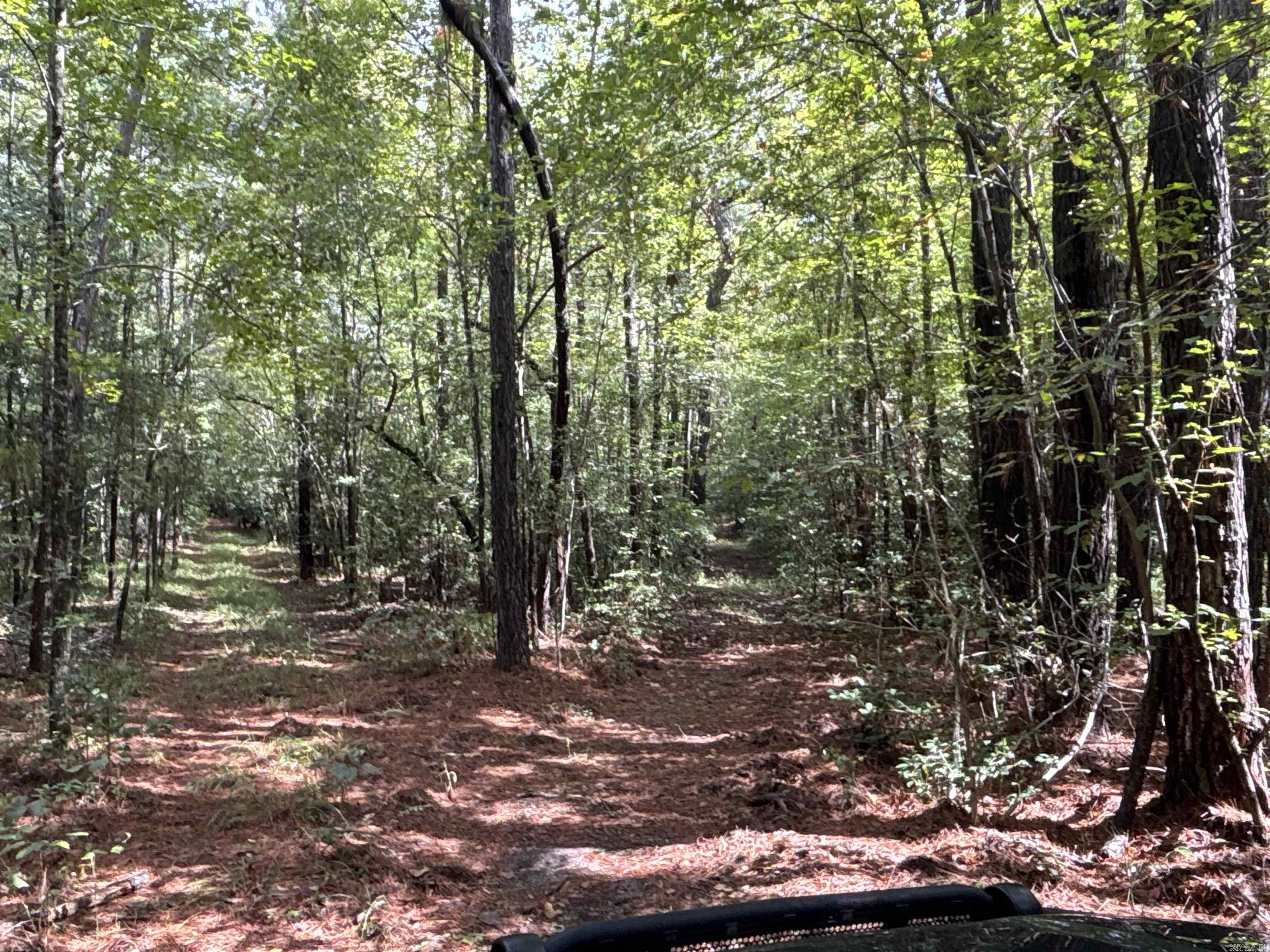 33,34-12-19 State Hwy 57  Chidester, AR