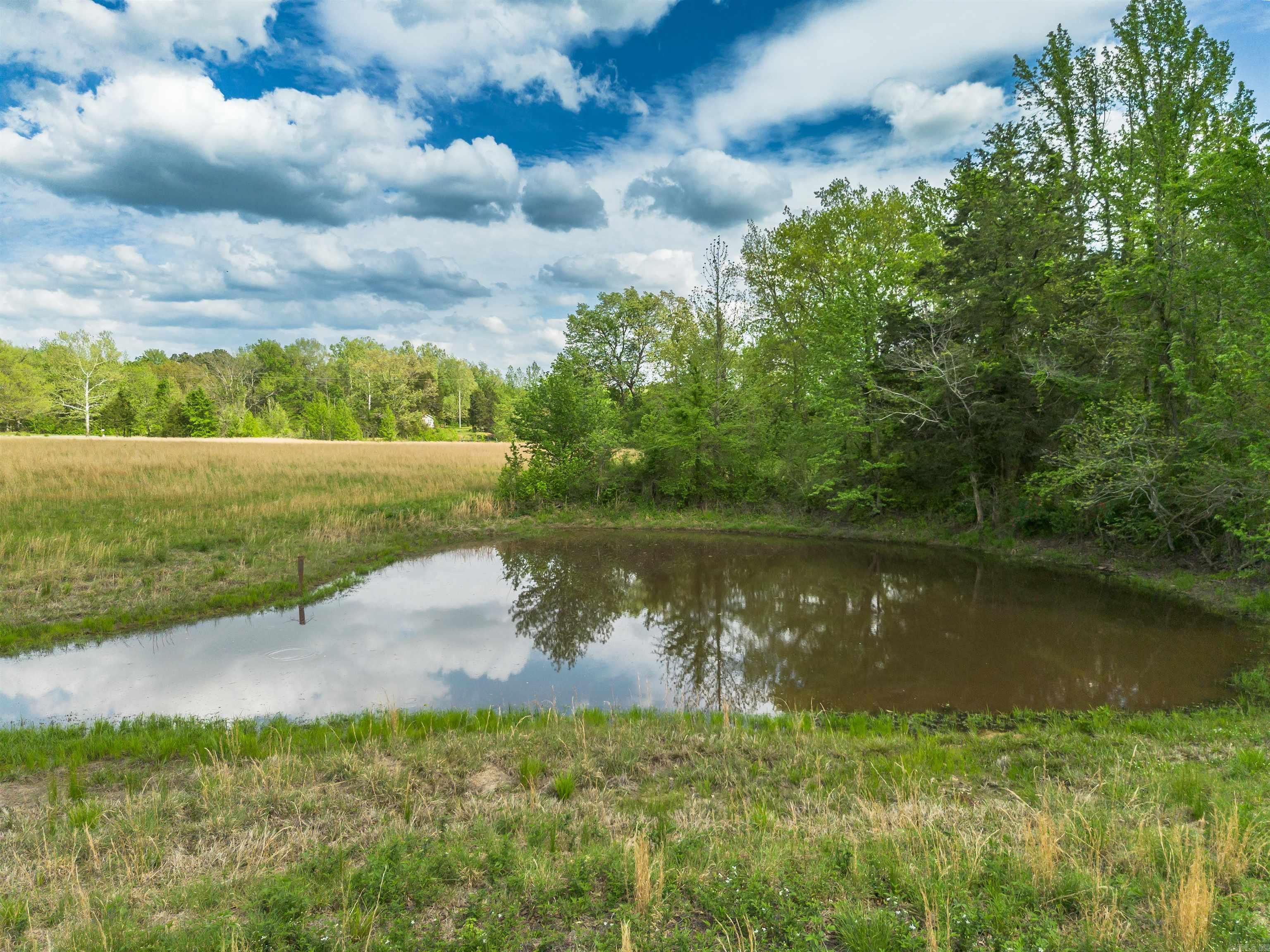 00 Boone Lane  Bee Branch, AR